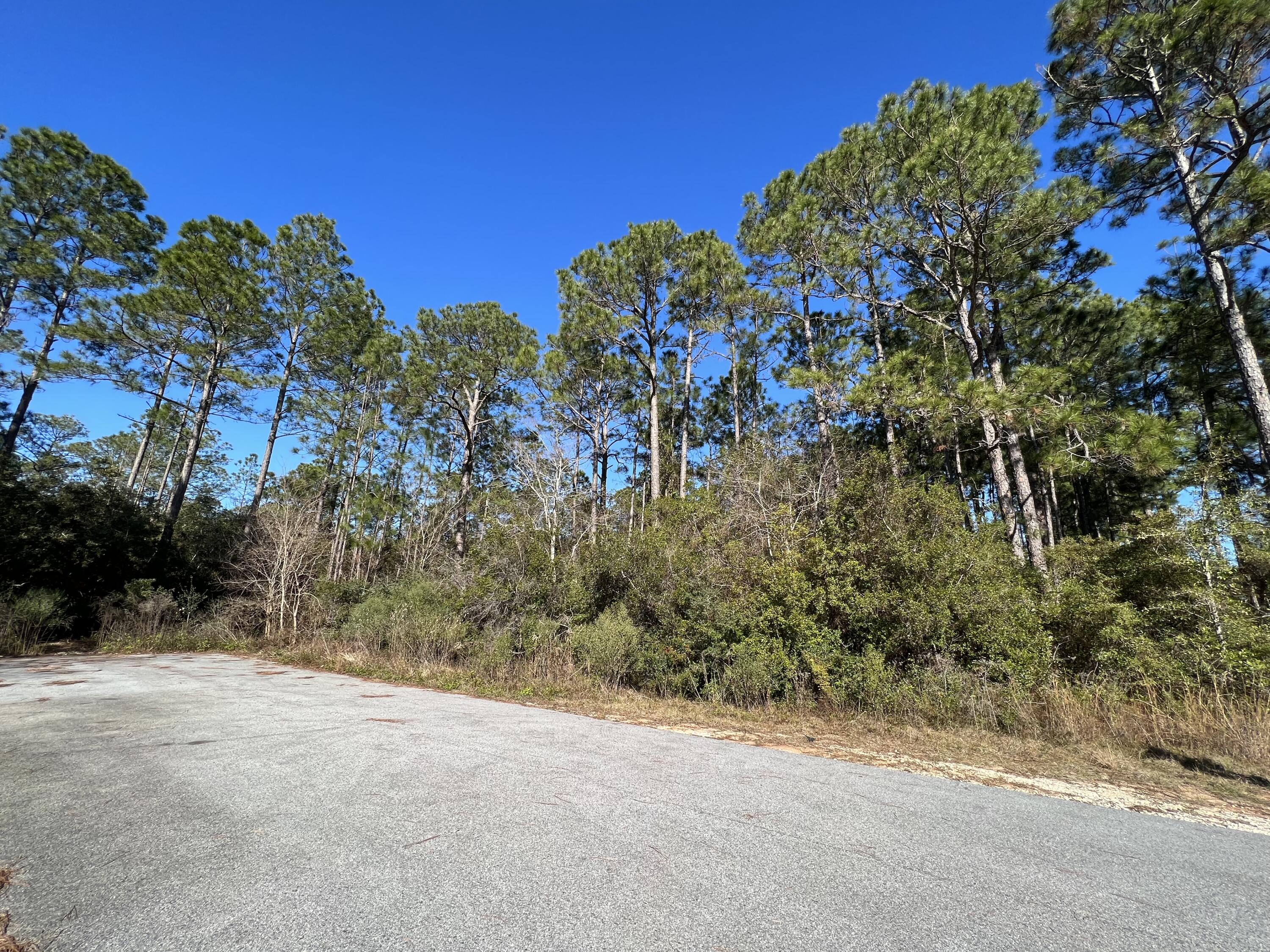 Great Dead end street to build your perfect dream home in Woodmont Estates in Holley by the Sea! Cul-De-Sac location. Dead end; Underground utilities and public sewer.  This is a very private paved road and it is the last lot on the street for privacy;