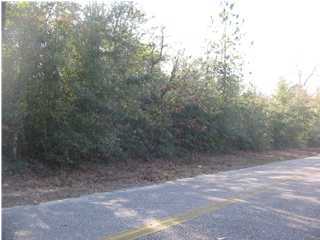 JUNIPER LAKE PINES UNIT 1 - Land
