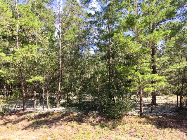 OAKWOOD LAKES ESTATES - Land