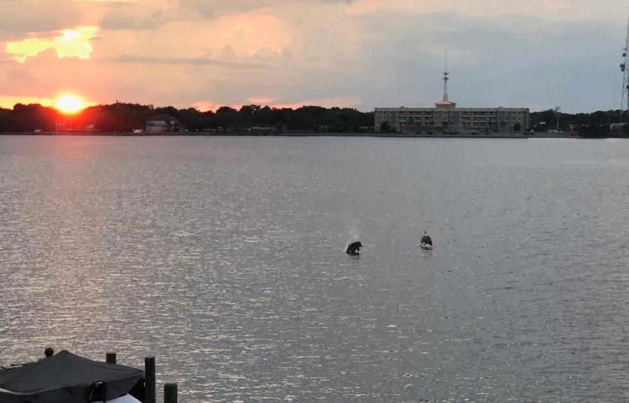 Available 21 December. Stunning waterfront townhouse with spectacular water views on all levels. Home features a deep water private boat slip on the bayside. This property is centrally located off Eglin Parkway in Shalimar and convenient to both Eglin AFB and Hurlburt Field. The master and additional bedroom are located on the third floor, each with a large closet and a full bath. Great room, dining area, kitchen, and powder room make up the second level which opens onto a large deck. Dont miss out on this before its gone.