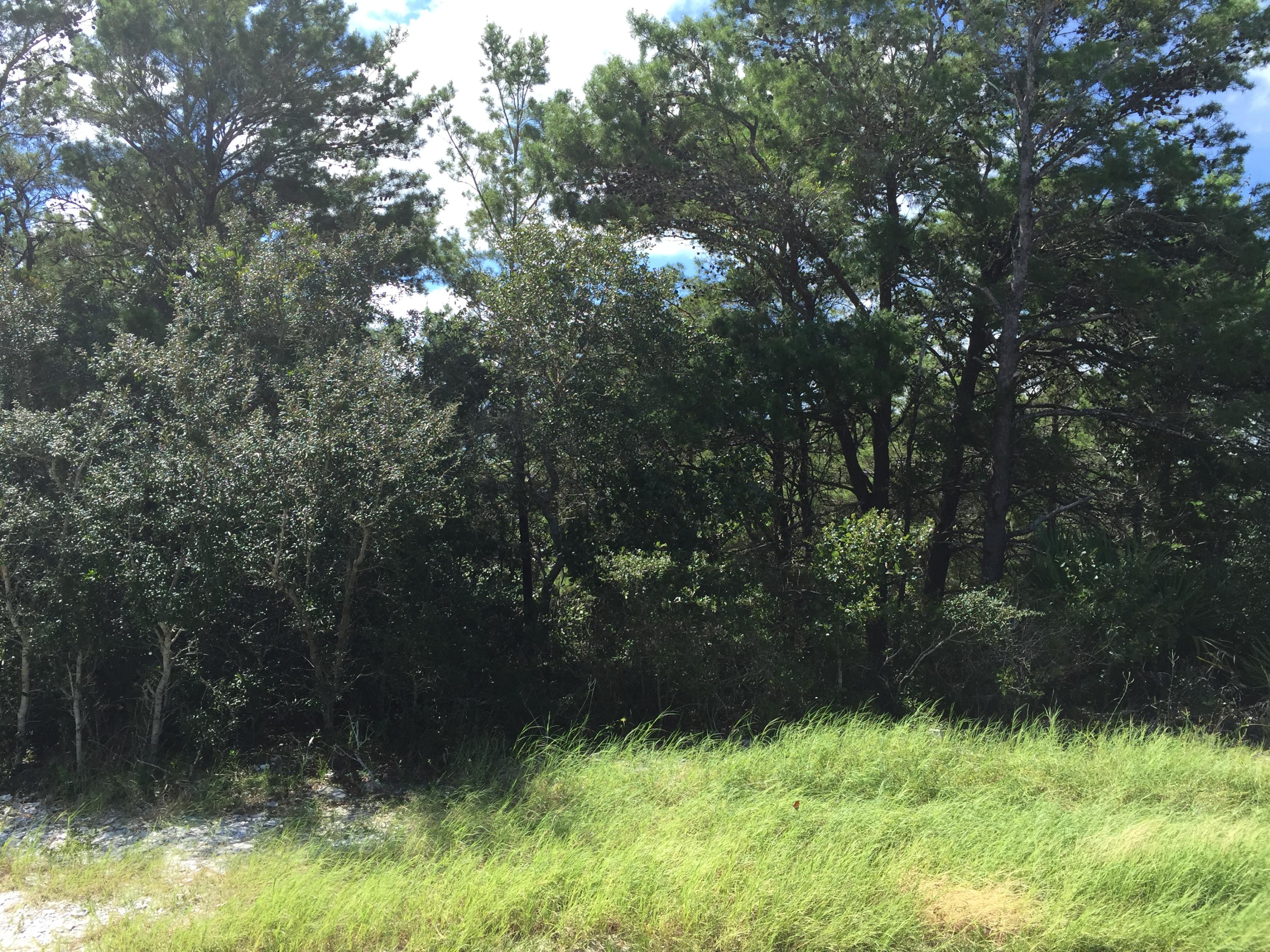 Vacant half acre homesite conveniently located within walking distance to the beautiful white sand beach & turquoise waters of Blue Mountain Beach. This lot is just a short stroll to the town center of Redfish Village scattered with restaurants & shops and a very short distance to the bike path spanning the length of Scenic Highway 30-A connecting the unique beach neighborhoods. Build your vacation home or full time residence on this lot. No build out time and no HOA dues.