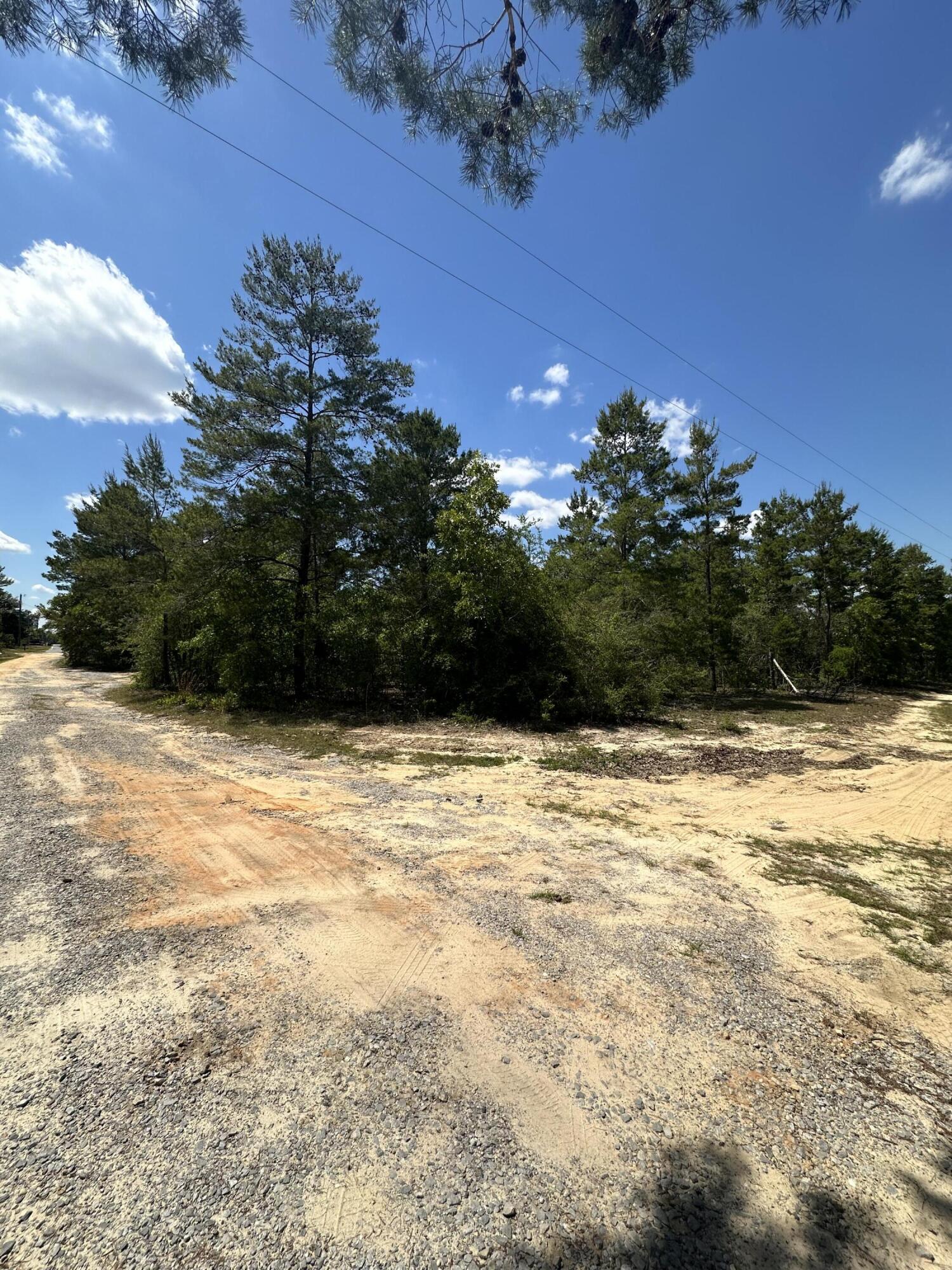 Wooded Lot perfect for your rental investment or home. The area is quiet and filled with potential. 
You don't want to miss this opportunity to own your slice of paradise in Walton County!