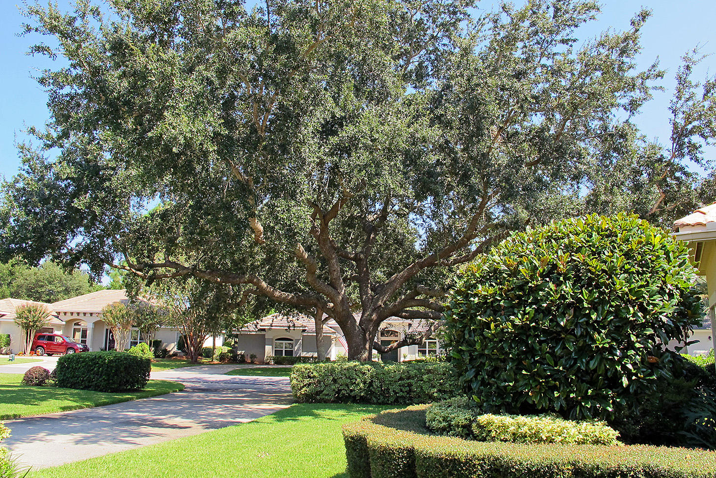 PALMETTO DUNES - Residential