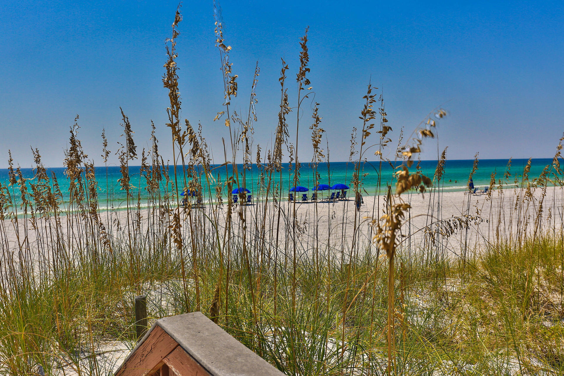 GULF PINES - Land