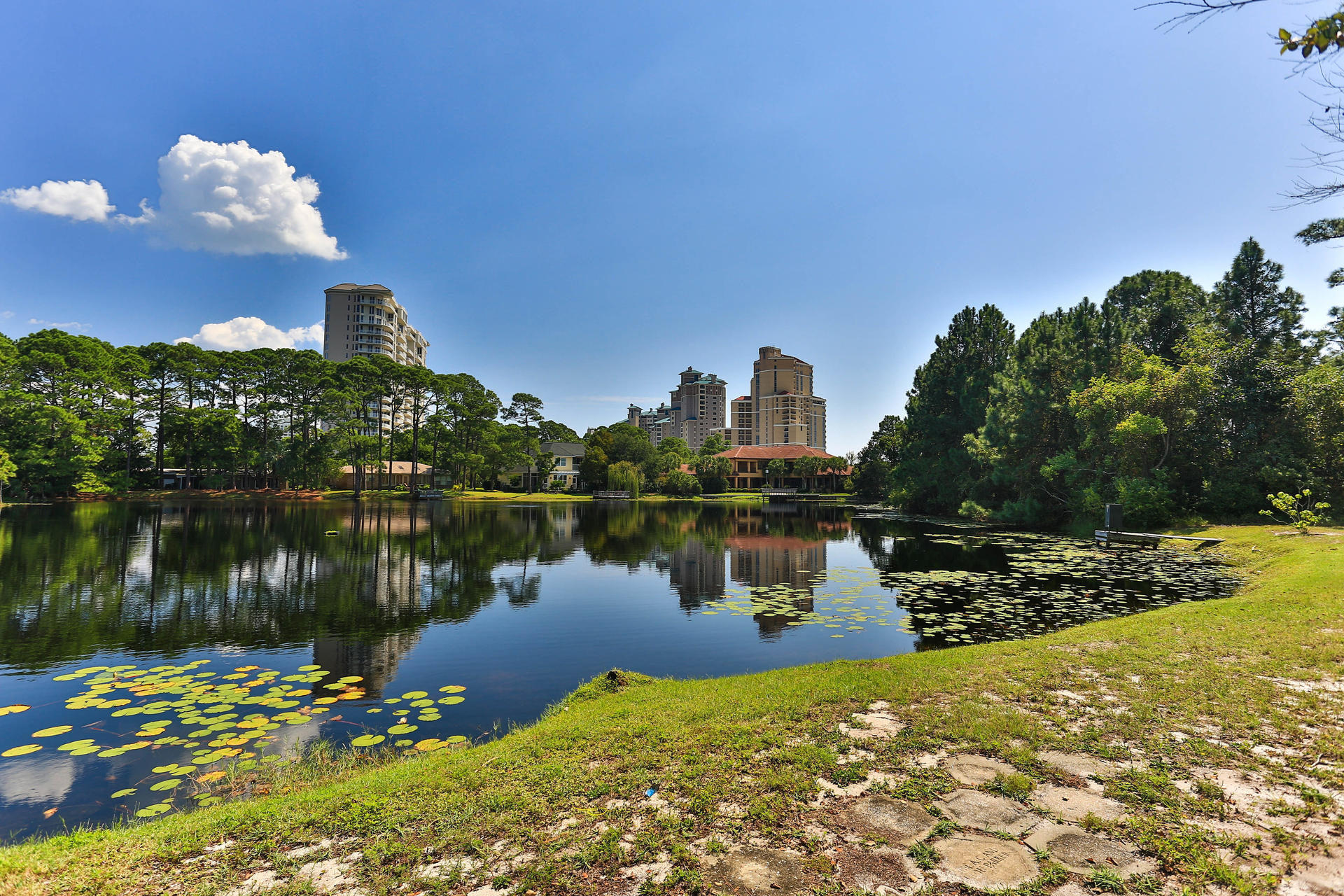 GULF PINES - Land