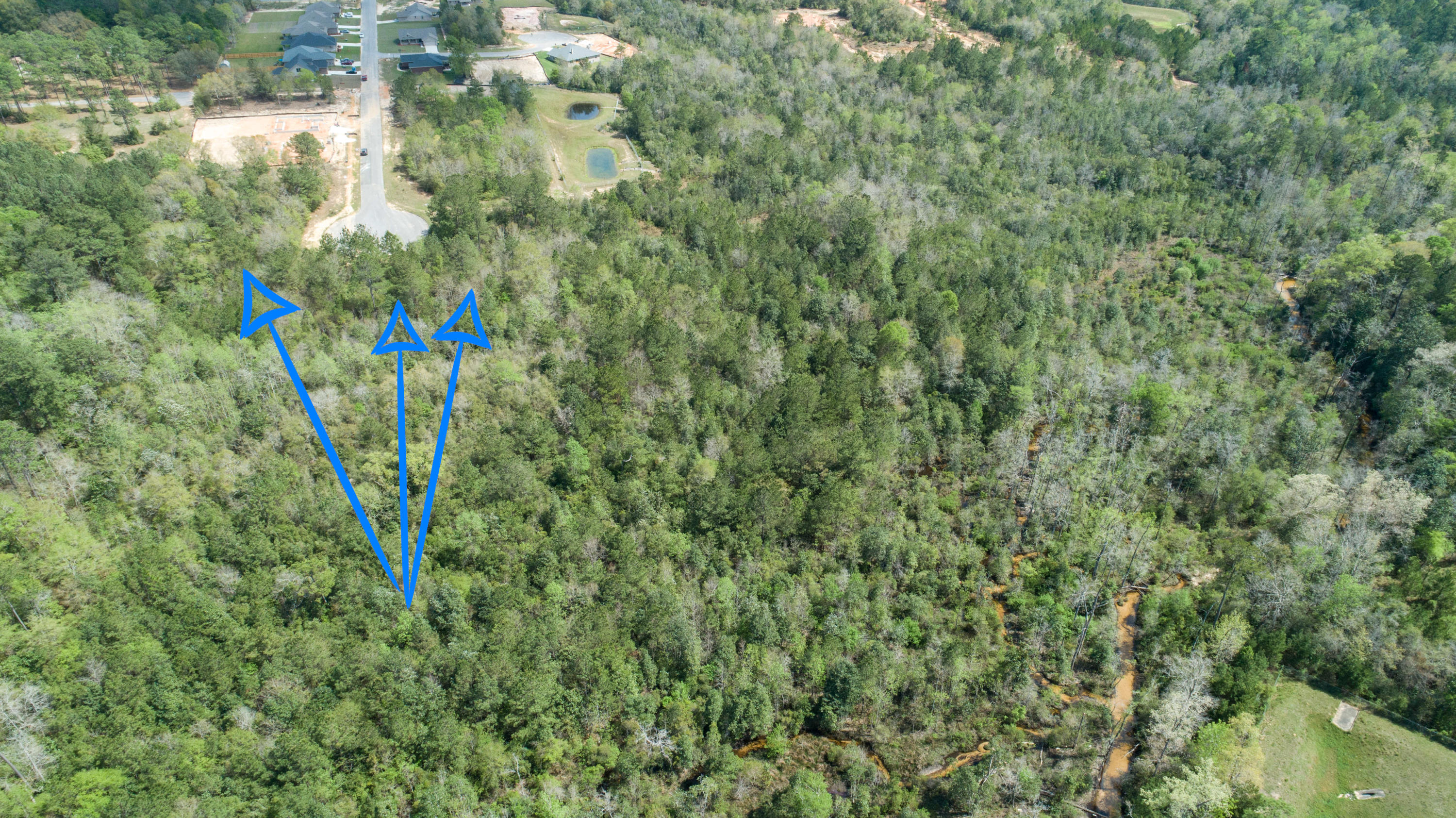 WILLOW CREEK PLANTATION - Land