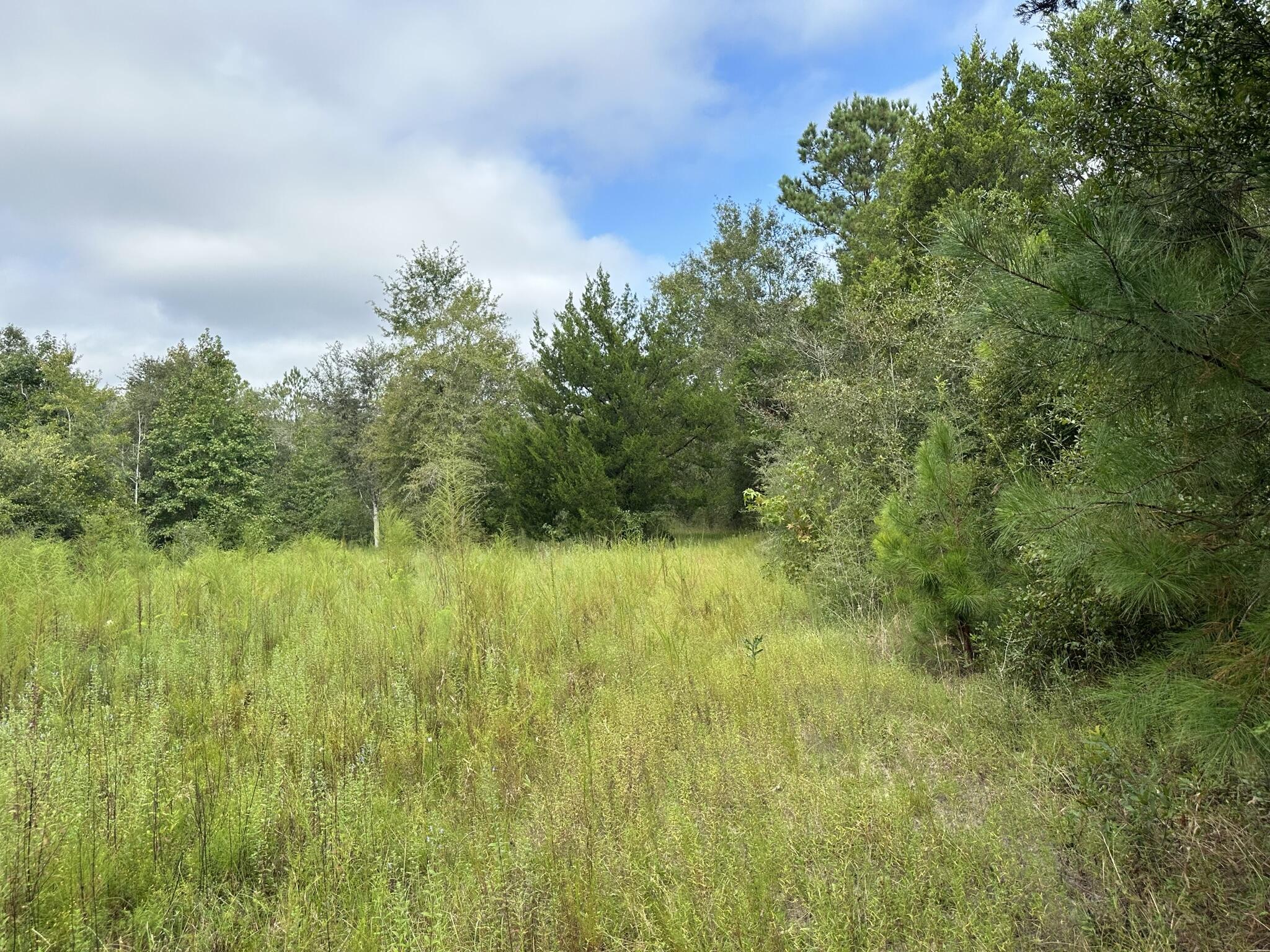 This 60 acres offers many opportunities! Makes for a great homesite, allowing plenty of privacy and within minutes from town! Nicely wooded, making it a hunters dream, as it offers plenty of wildlife. It also offers several locations for food plots with minimal clean up needed! Property is split by Valee Rd where you have 45 acres on one side and 15 acres on the other.  It also features a creek branch that runs lengthwise down the edge of the property but still offers approximately 50 acres of high and dry land!