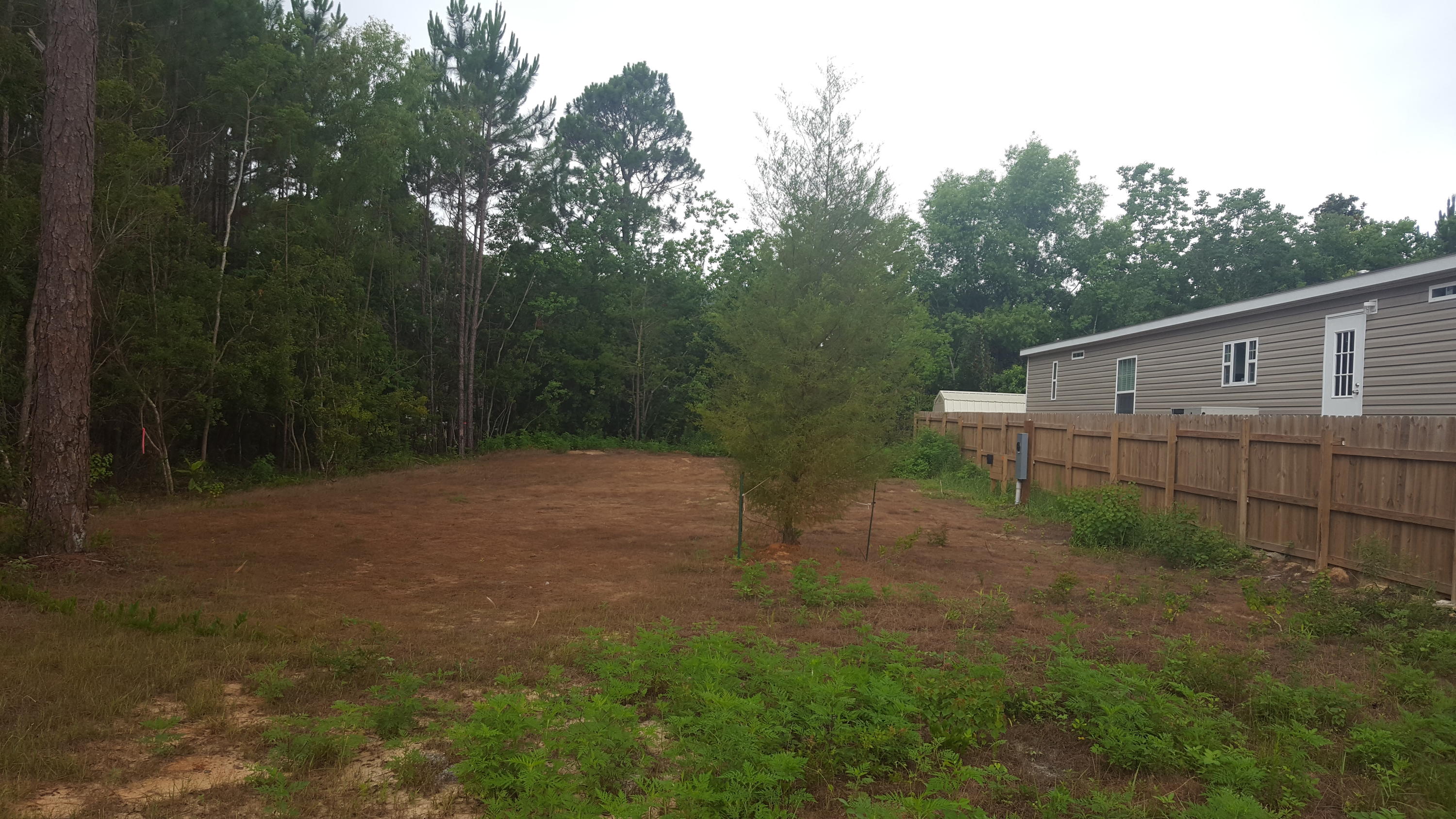 Great opportunity--Don't miss out on this ''CLEARED'' Vacant Lot! This lot has undergone more than $4,000 in improvements: Lot as been completely cleared with the exception of a beautiful Pine tree and gorgeous Japanese Willow; culvert was placed along with a drive way in 2018; electrical meter box was installed in 2018 on the Lot as well as a disconnect for a sewer grinder. It is less than 5 miles to the beach and just a short walk to Cessna Landing! This Lot is secluded with easy access that will make for an excellent home site. The Cessna Landing boat ramp along Hogtown Bayou and near Choctawhatchee Bay offers: 2 launching lanes, courtesy dock, 16 designated boat trailer parking spaces, playground, handball court, picnic pavilion, grills, restrooms. Come see it & make it yours today!