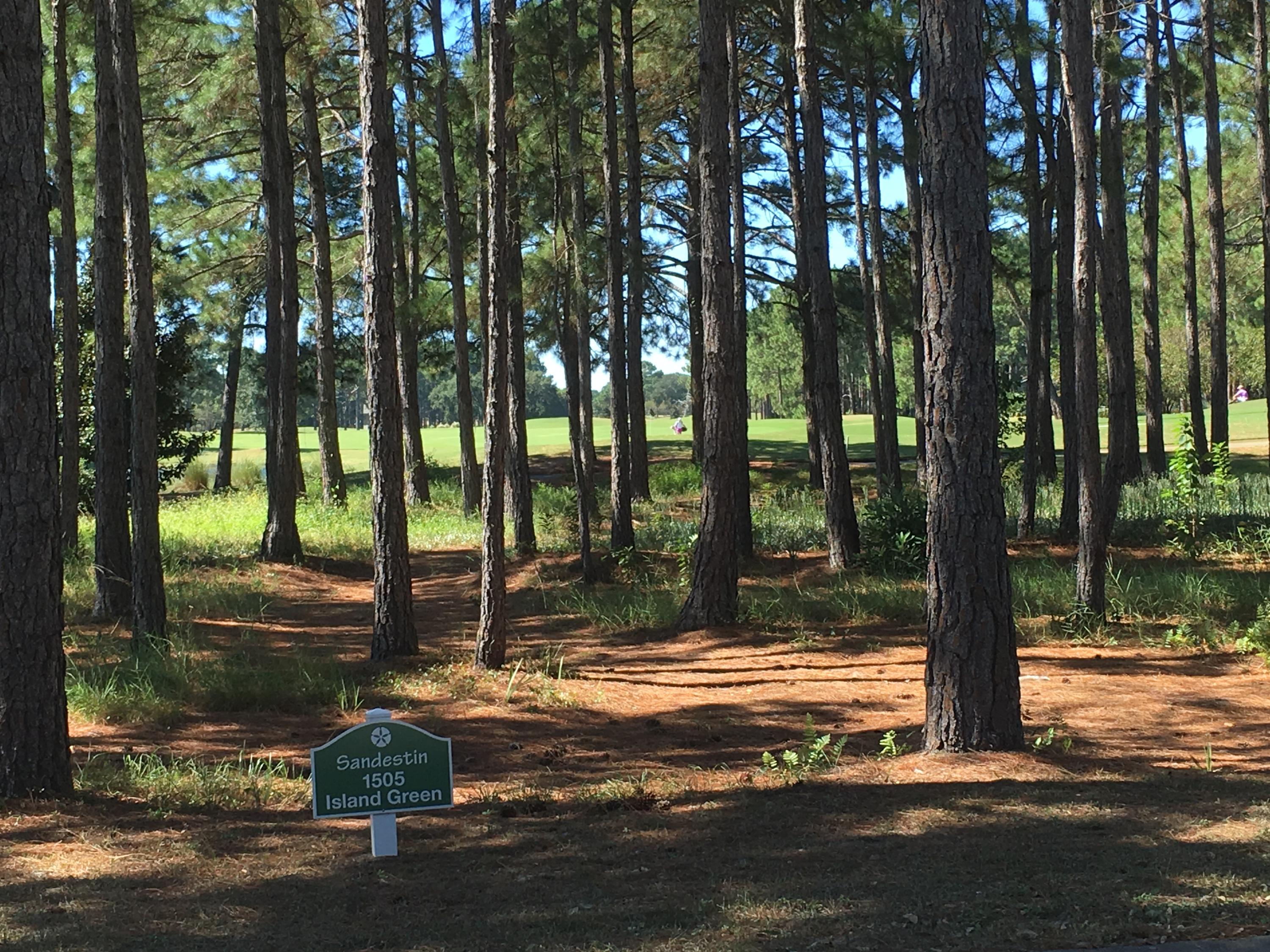 ISLAND GREEN - Land