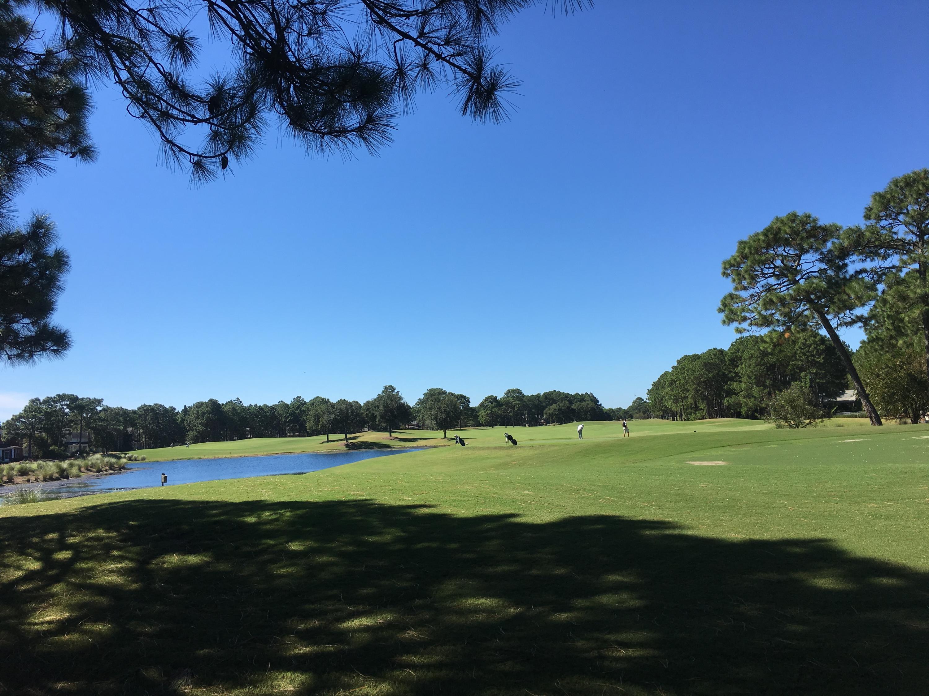 ISLAND GREEN - Land