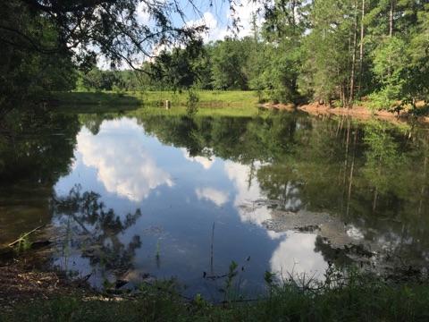 ARBOR LAKE - Residential Lease