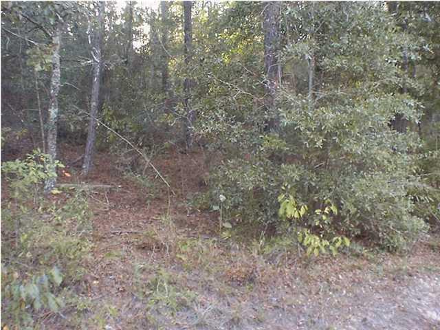 SPRING LAKE ESTATES - Land