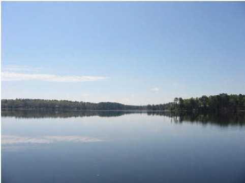 SPRING LAKE ESTATES - Land