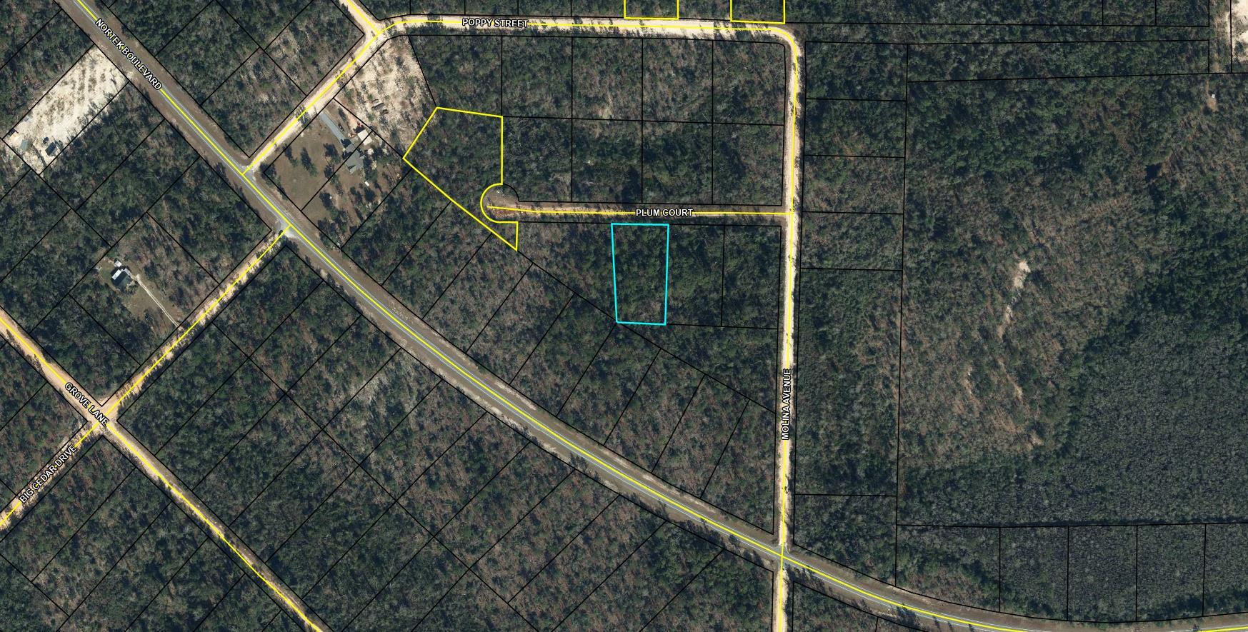 Large 1.009 acre lot in Compass Lake in the Hills. There is a voluntary HOA of $135 a year, but what a great price for all the amenities that are included such as: access to 2 lakes for fishing, tennis, horse stables / riding, rental cabins, RV spots, boat rentals, clubhouse, and a golf range. Being an all-sports lake, enjoy water skiing, tubing, jet skiing, boating, sailing, kayaking & swimming. No need to worry about lunch while out on the water when you have a boat accessible shoreline restaurant. This location is great for someone who enjoys nature and a short drive to the beach since it is located half way between Panama City And Dothan. The area is rich in historical significance, with many restored antebellum plantation homes open for tours or as bed-and-breakfast