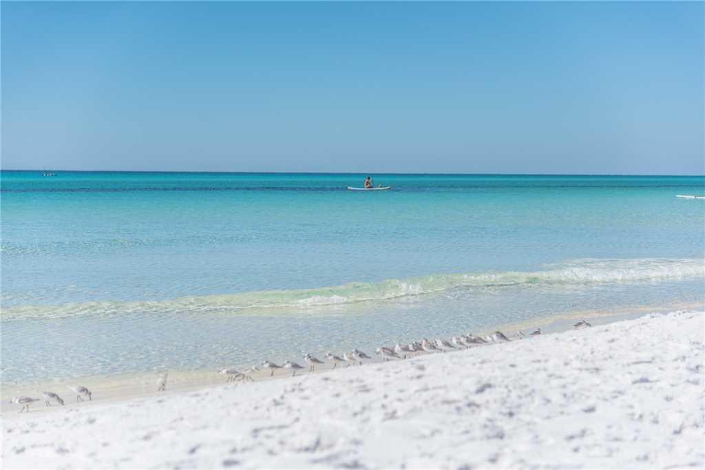 GULF PLACE CARIBBEAN CONDO - Residential
