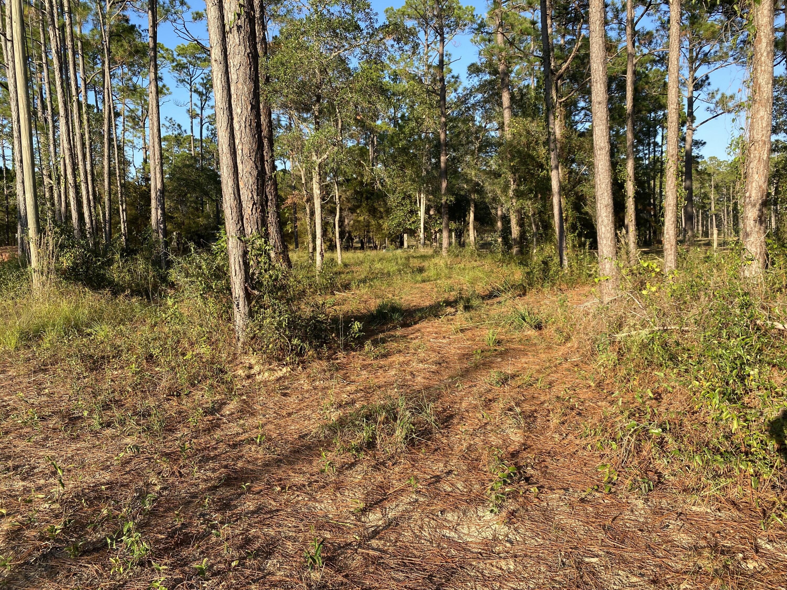 NO RECORDED SUBDIVISION - Land