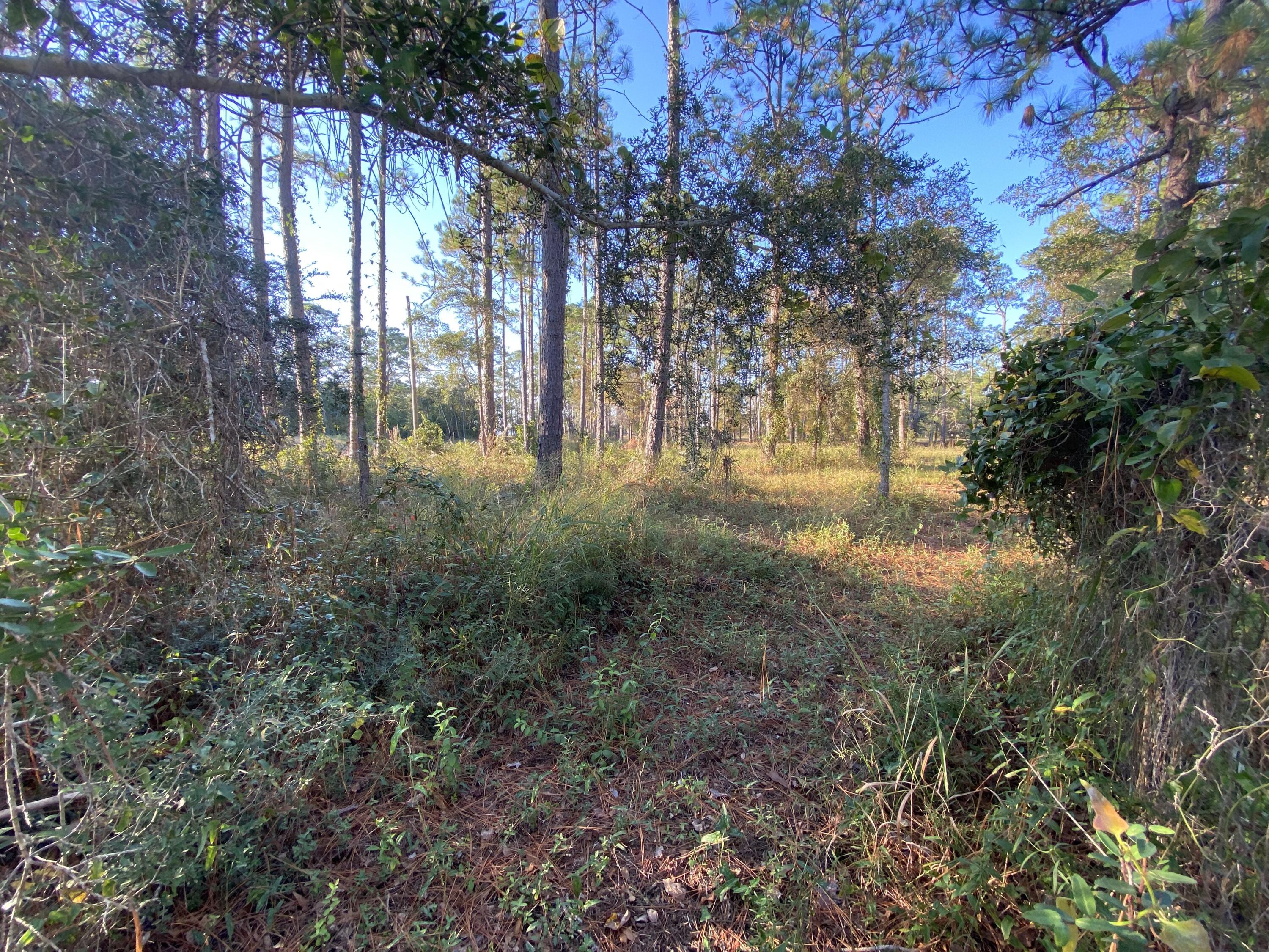 NO RECORDED SUBDIVISION - Land
