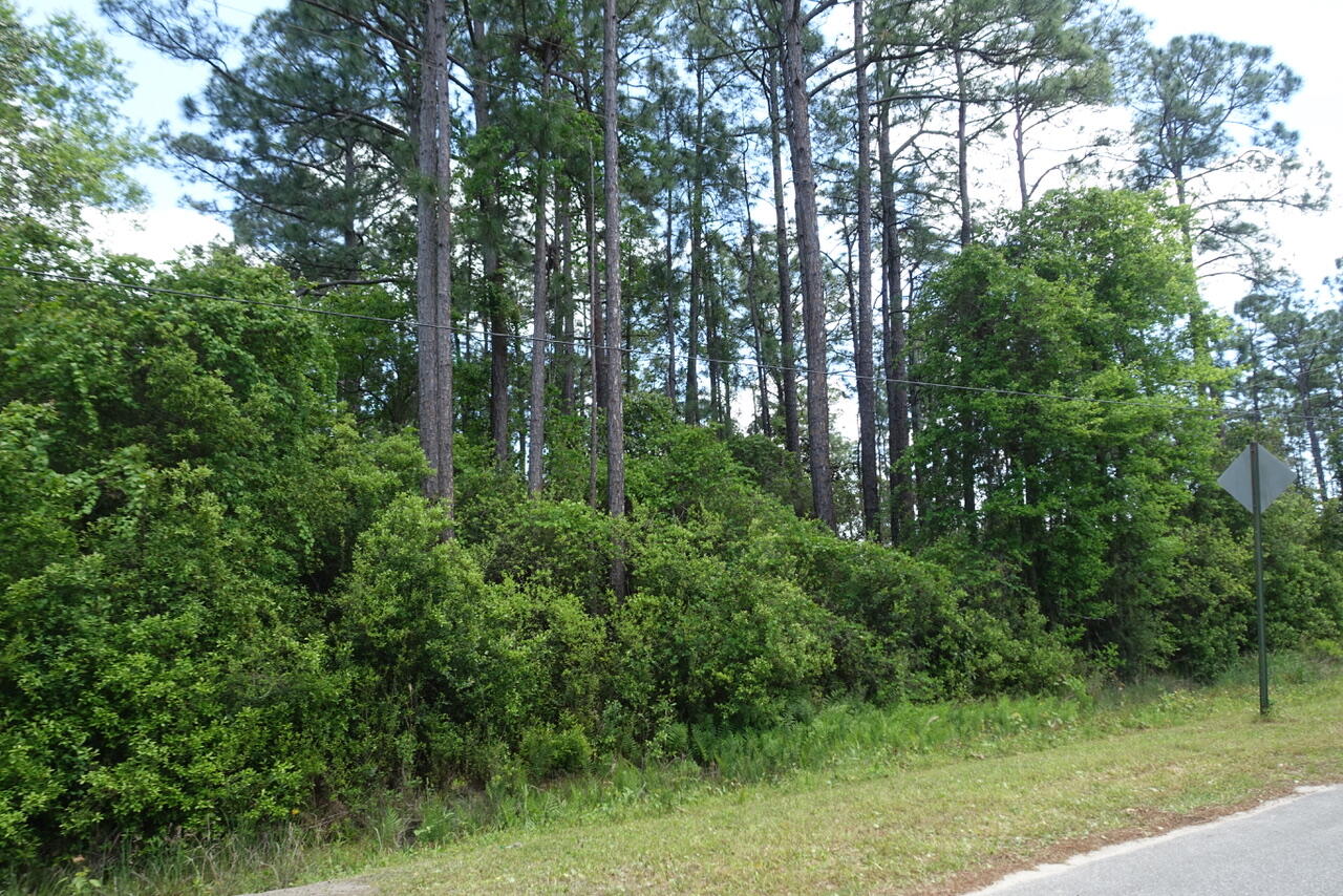 Nice wooded lot in the Pisces Cove Community with No HOA. X Flood Zone. Dimensions are 100 x 200.
Convenient location only 1 mile from Hwy 331.
Enjoy the Bay views, dining and entertainment at 3 different Restaurants on Choctawhatchee Bay.
Thomas Pilcher Park is under the 331 Bridge and offers Boat, Canoe Access, Fishing, Pavilions, Picnic Areas with Tables and Restrooms. A short drive to the Beach Communities on Hwy 30-A. No Survey. Buyer to Verify all Items deemed Important. Please Provide Proof of Funds or Pre-Qualification Letter.