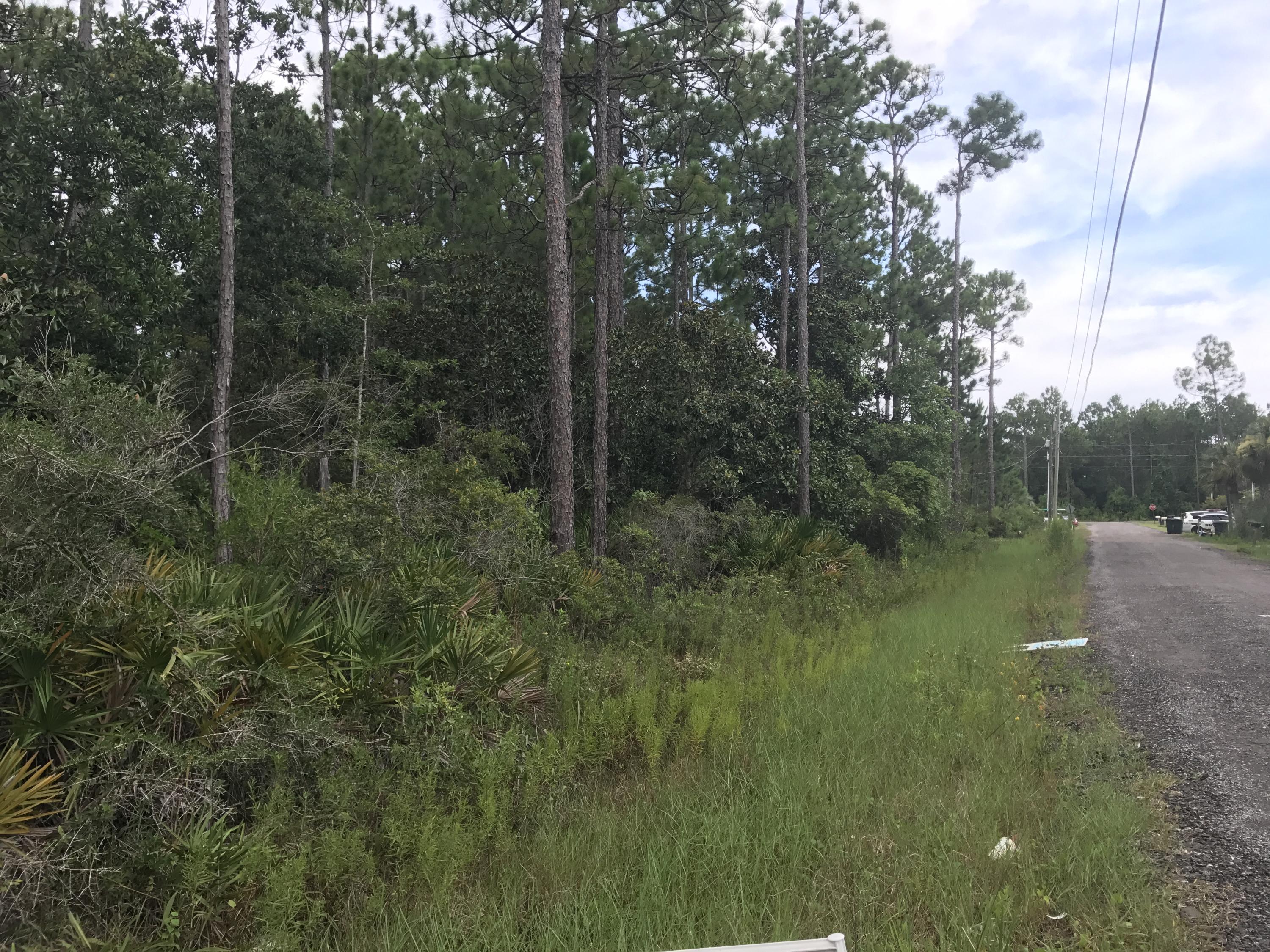 This lot is located in the heart of Santa Rosa Beach! Close the the Choctawhatchee Bay and the Gulf of Mexico! Local schools nearby as well. Perfect place to build your own home. Or a solid lot for a builder looking to make a profit!
