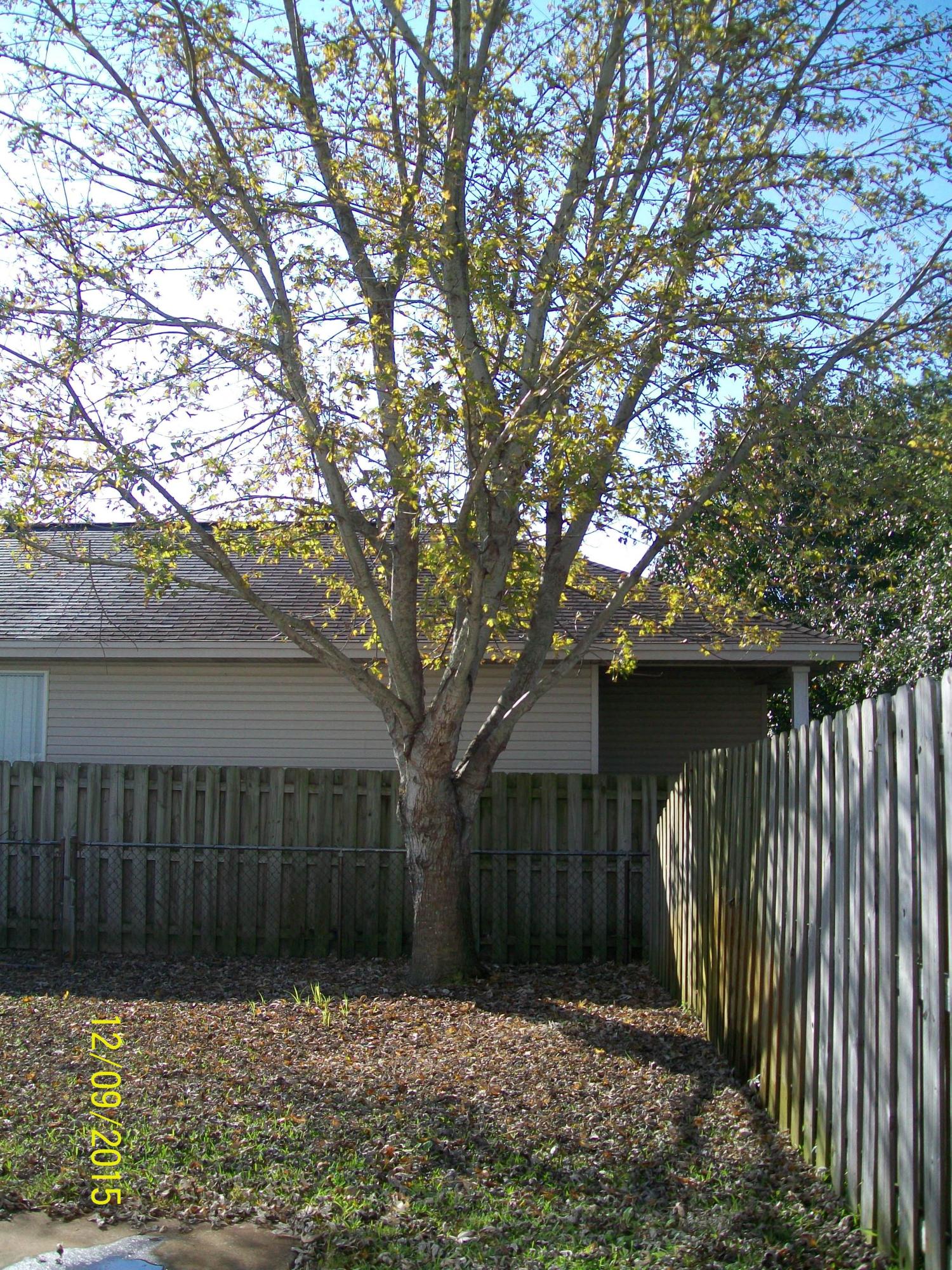 SHALIMAR COTTAGES - Residential Lease