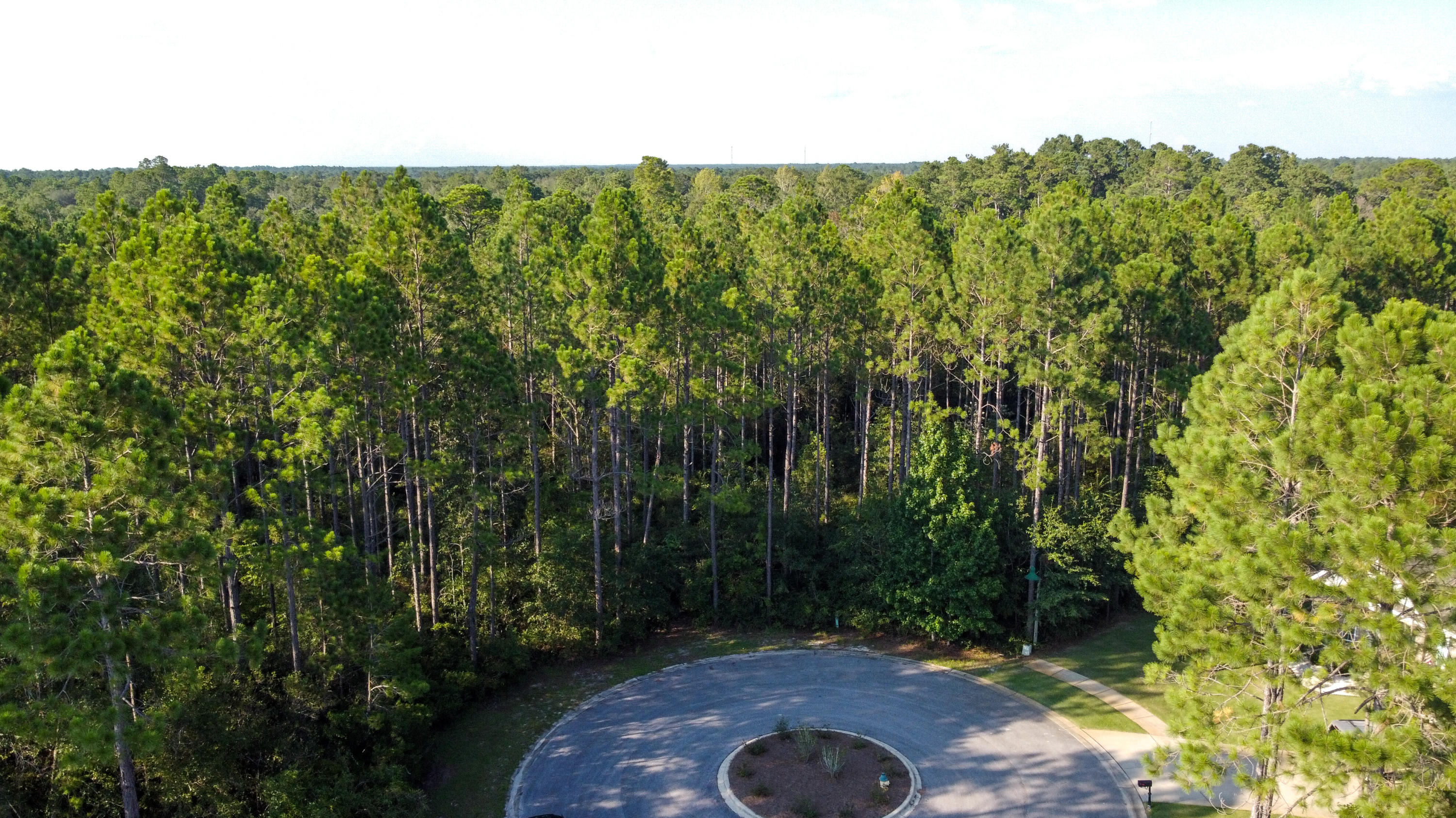 HAMMOCK BAY - Land