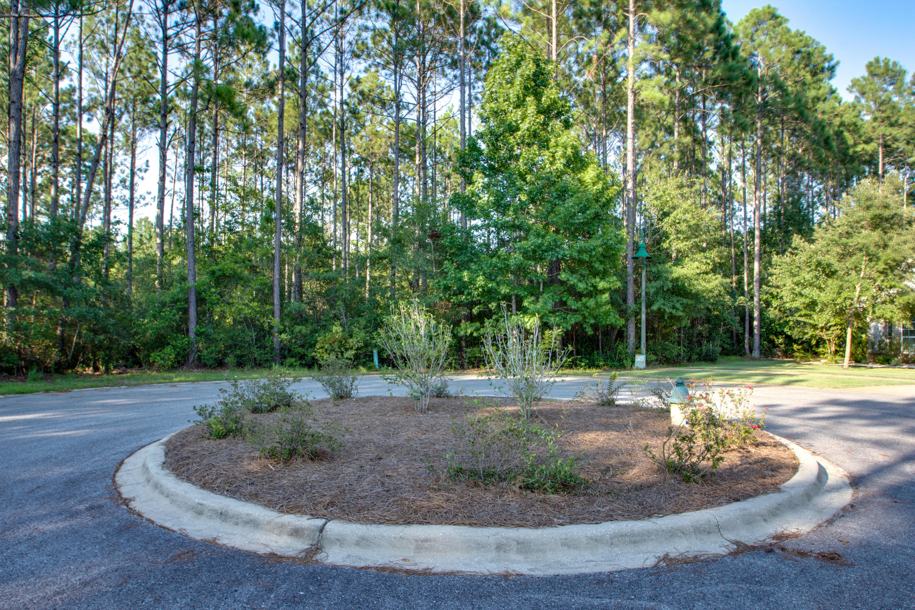 HAMMOCK BAY - Land