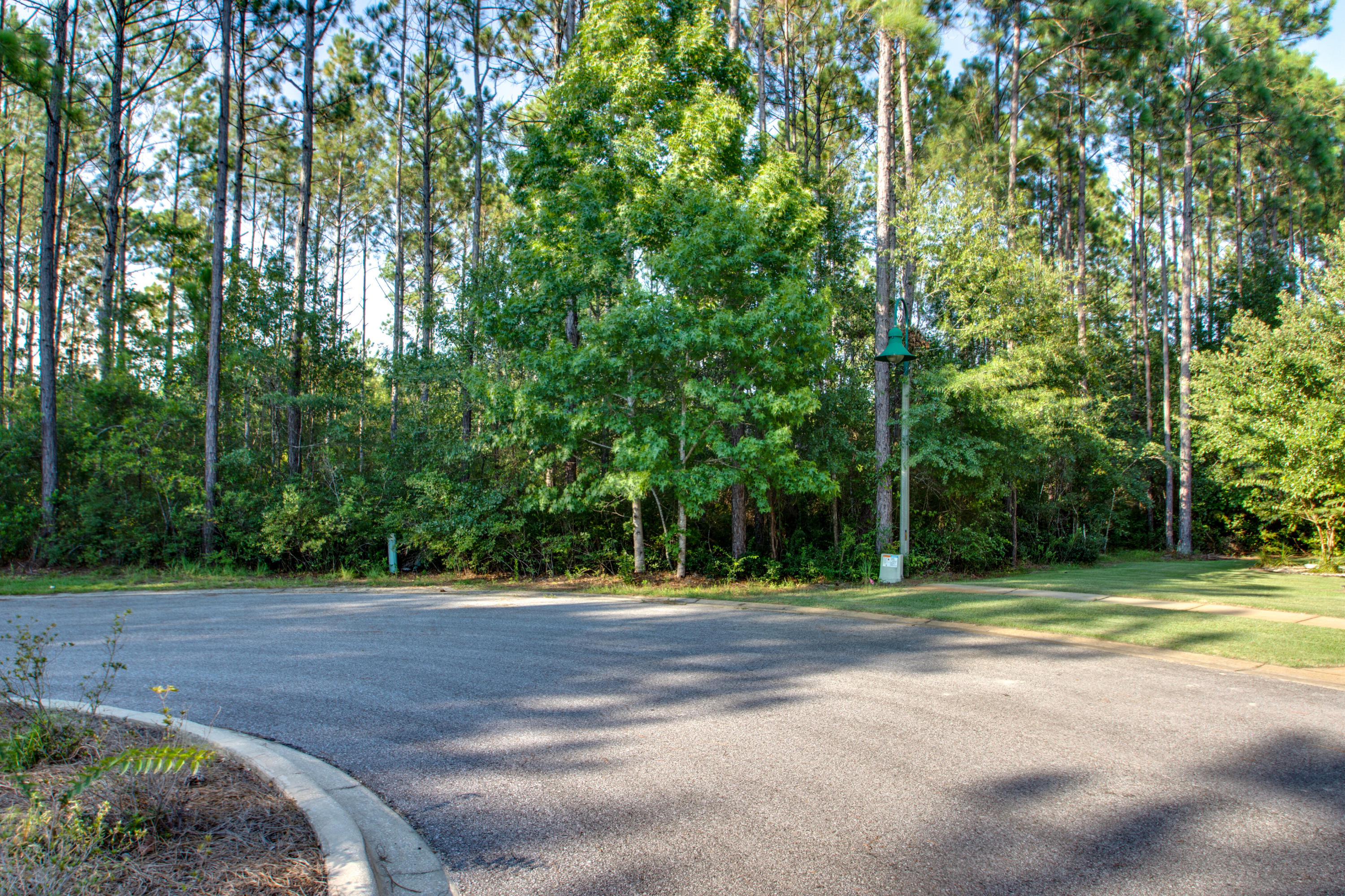 HAMMOCK BAY - Land