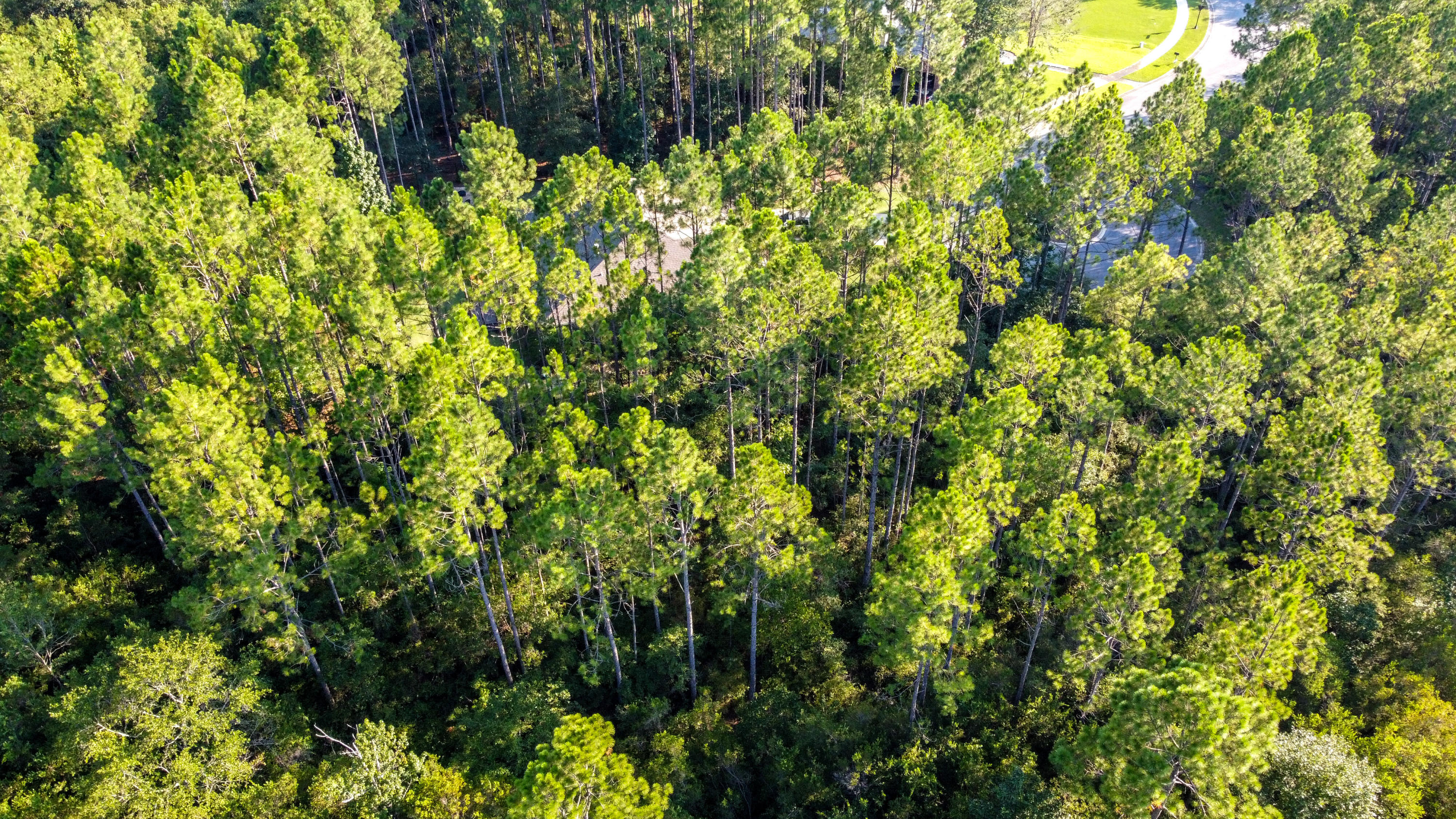 HAMMOCK BAY - Land