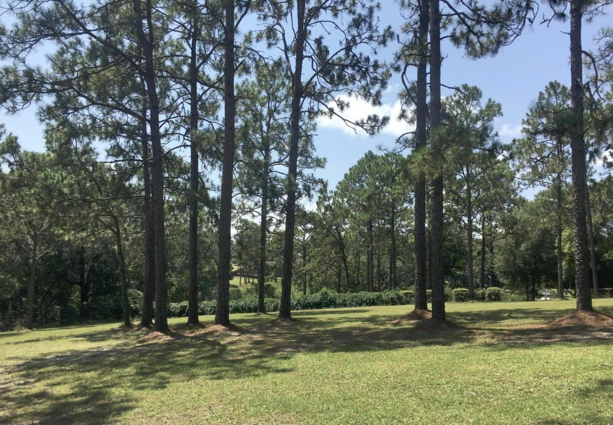 Crestview Suburb - Land