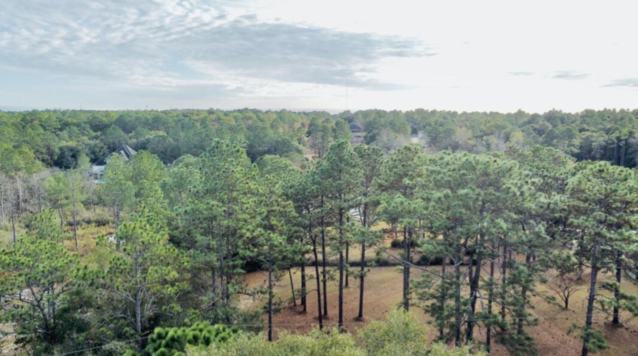 Crestview Suburb - Land