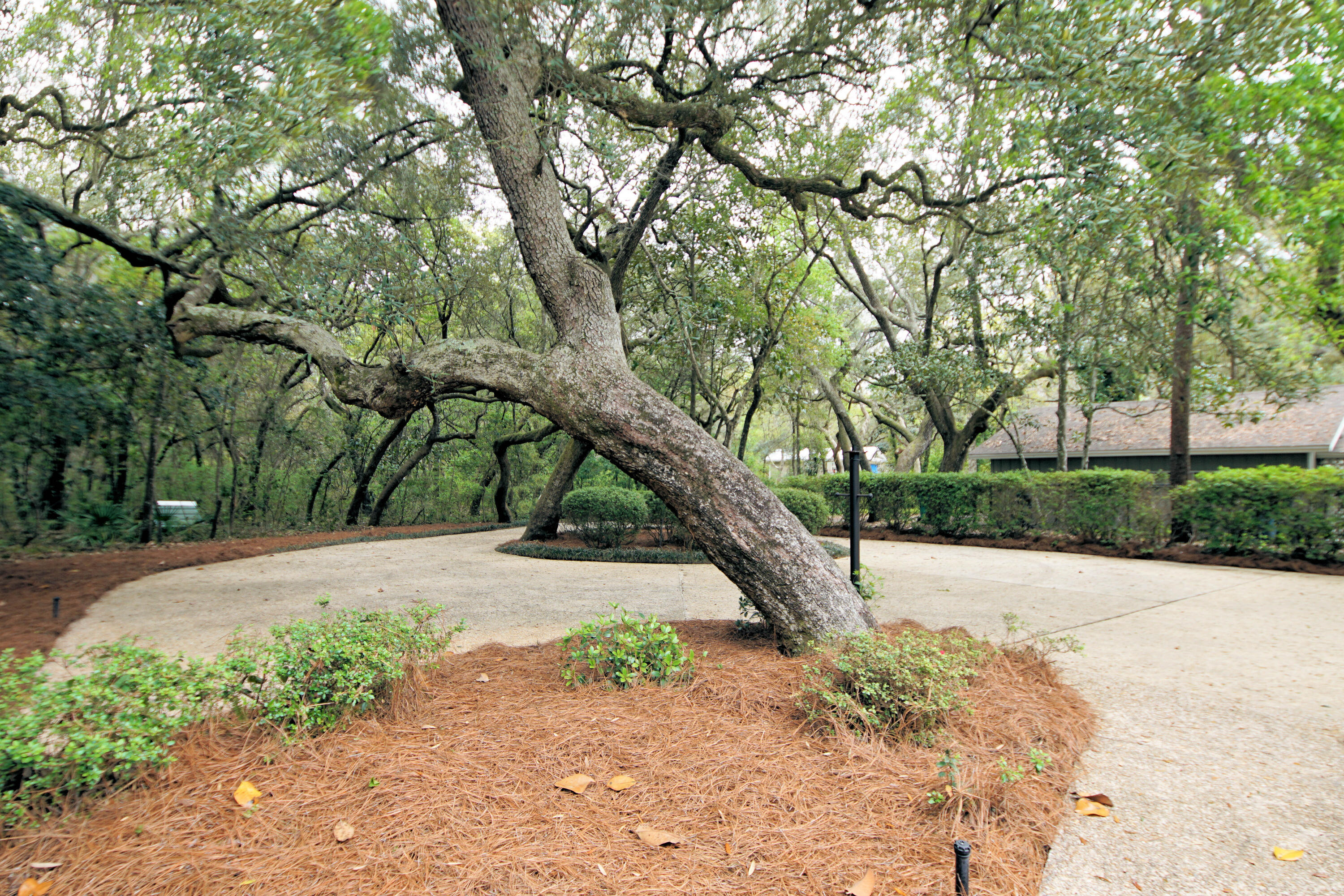 PARADISE POINT - Residential Lease