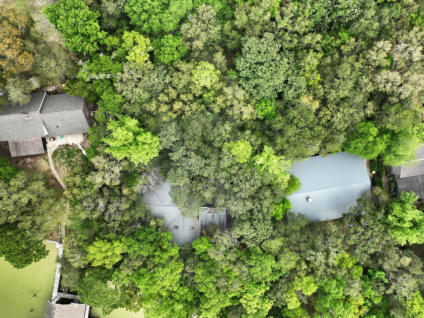 PARADISE POINT - Residential Lease