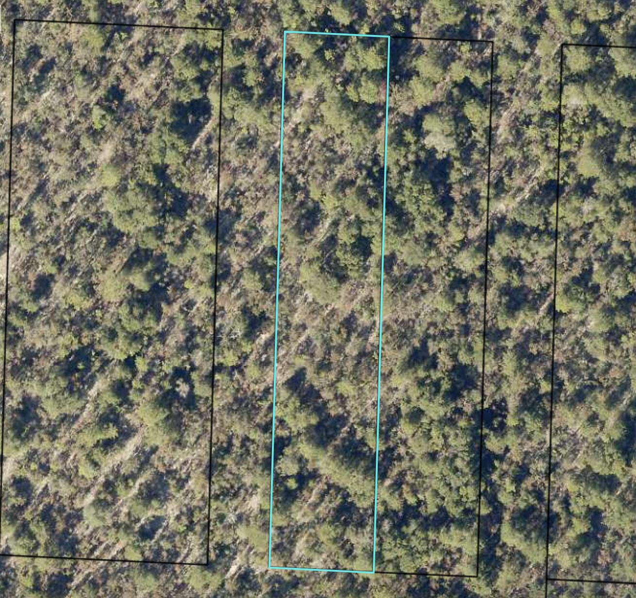 PINETREE - Land