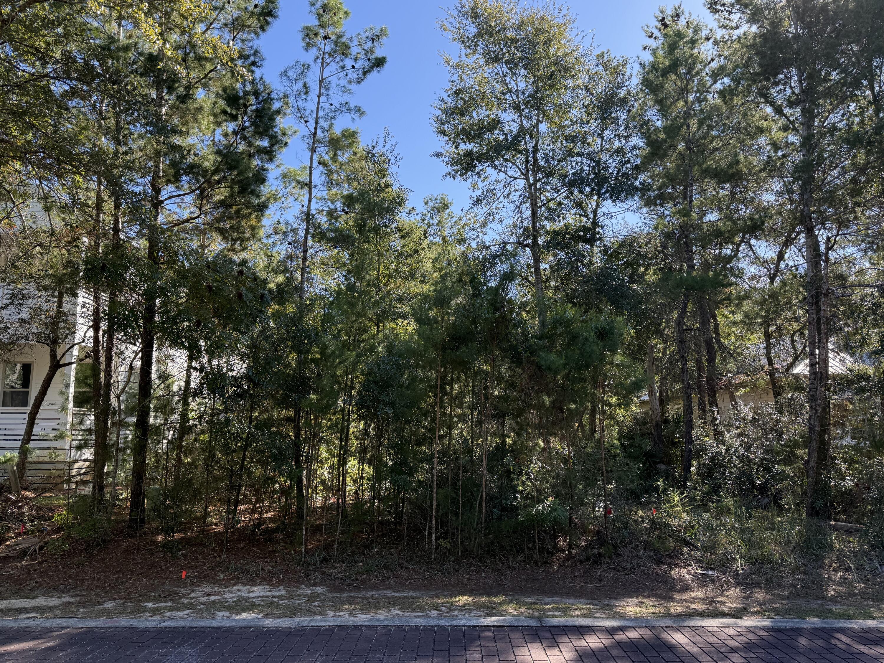 Introducing a rare opportunity to own one of the last remaining vacant lots in this coveted, quiet and quaint neighborhood just 3 miles from the public shuttle to Grayton Beach! Tucked along a serene street where buildable parcels are swiftly disappearing, this prime canvas delivers the ultimate blend of convenience and coastal exclusivity.
Steps from the community pool, public boat ramp,  with direct access to McQuage Bayou, plus a breathtaking county park, every day feels like a waterfront escape. The true standout? Rare rear drive access--an increasingly scarce feature among local cottage lots. This coveted advantage unlocks the freedom to add your own private garage for vehicles, boats, beach gear, or a personal workshop. With the neighborhood's limited inventory dwindling fast, this is your chance to claim a slice of authentic South Walton living before it's gone. Build your dream beach retreat or make a savvy investment in a location primed for appreciation. Act now because opportunities this unique won't last!

Seller is Licensed Florida Contractor willing to work with Buyer on construction!

***Buyer is responsible for personally verifying details about this property.  Any information contained in this listing is believed to be accurate but is not guaranteed.***