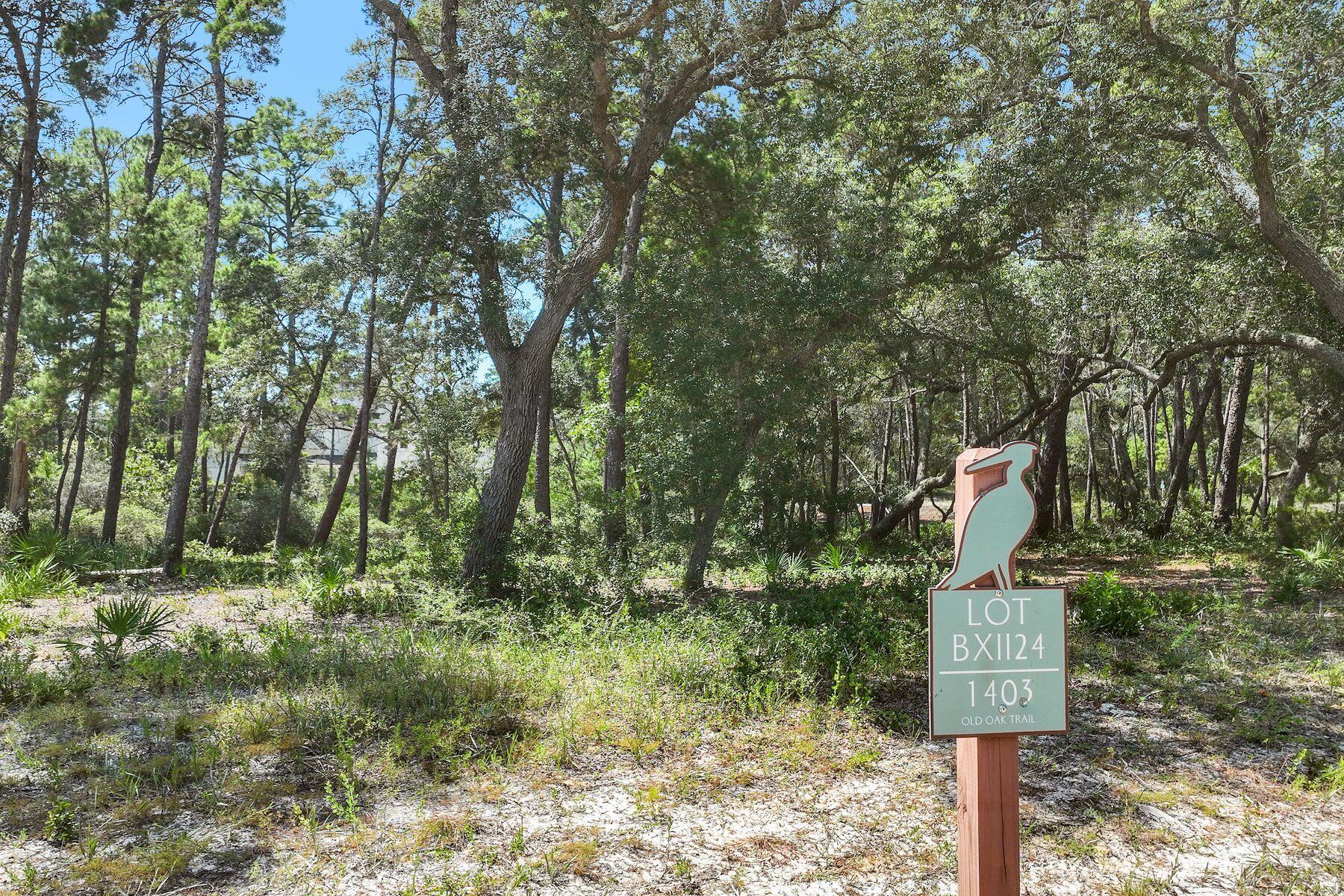 Wild Heron - Land