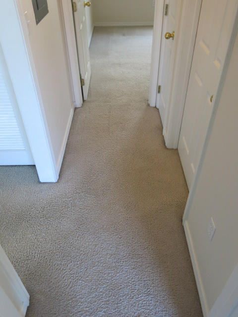 COLLEGE COURT 1ST ADDN - Residential Lease