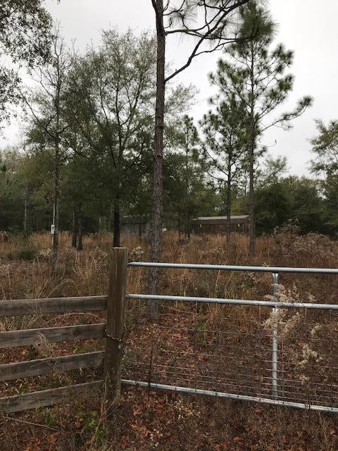 LOT 65 BLK N JUNIPER LAKE EST UNIT 6 OF OAKWOOD HILLS - Land