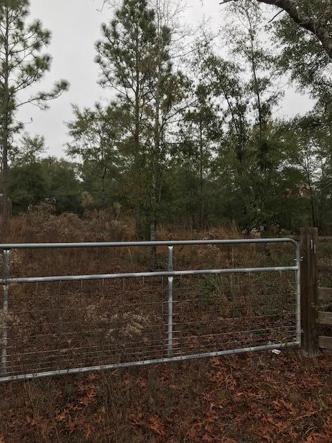 LOT 65 BLK N JUNIPER LAKE EST UNIT 6 OF OAKWOOD HILLS - Land