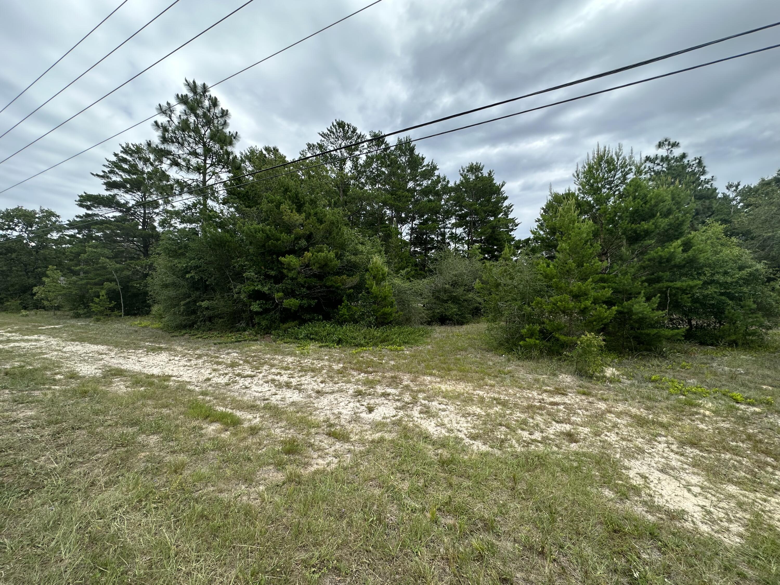 Partially cleared, 1 acre lot in the growing community of Mossy Head. 
This parcel is located between two beautiful brick homes and is perfect for your dream home or as an investment property. 
Call today to secure your future home site!