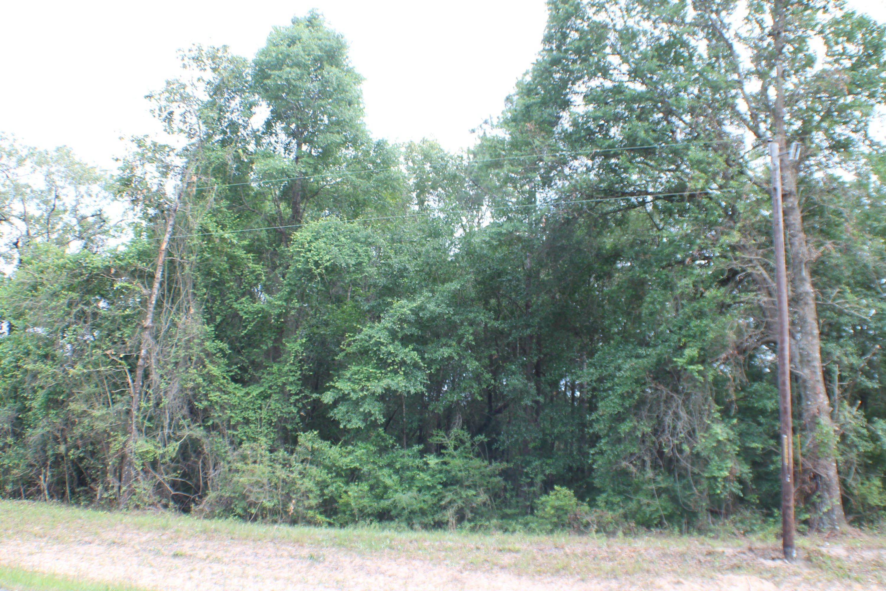 LAUREL HILL - Land