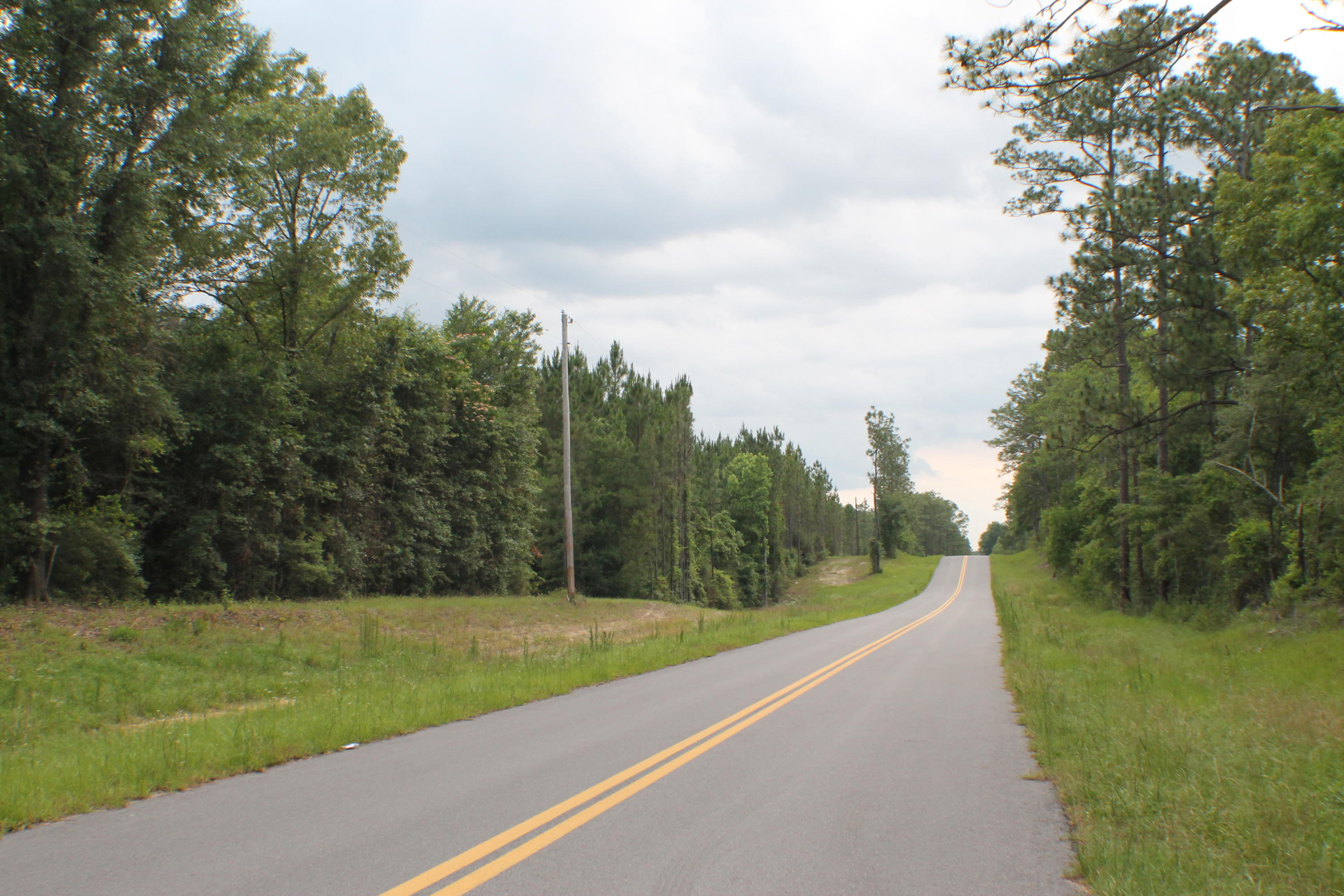LAUREL HILL - Land