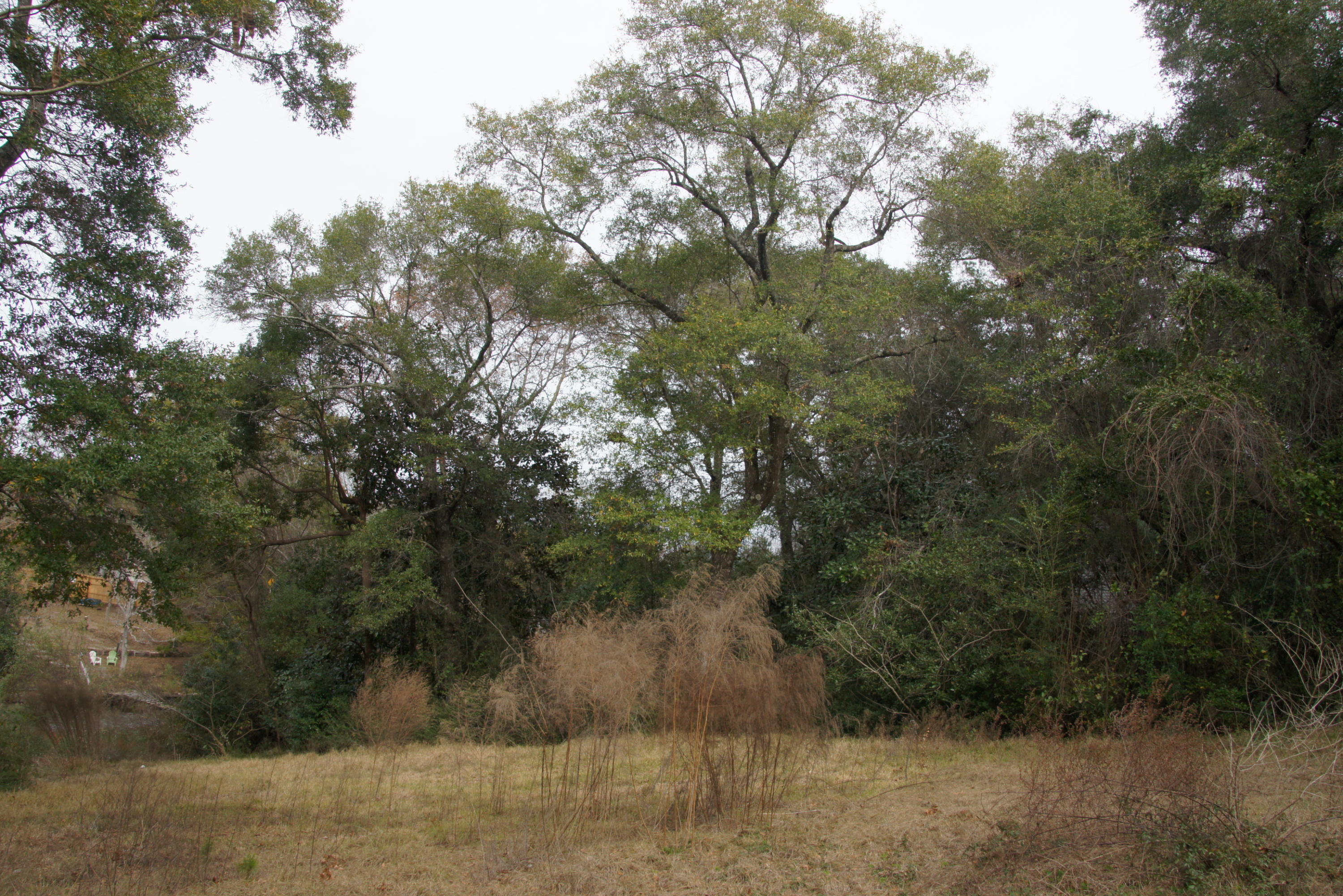 EDGEWATER VILLAGE - Land