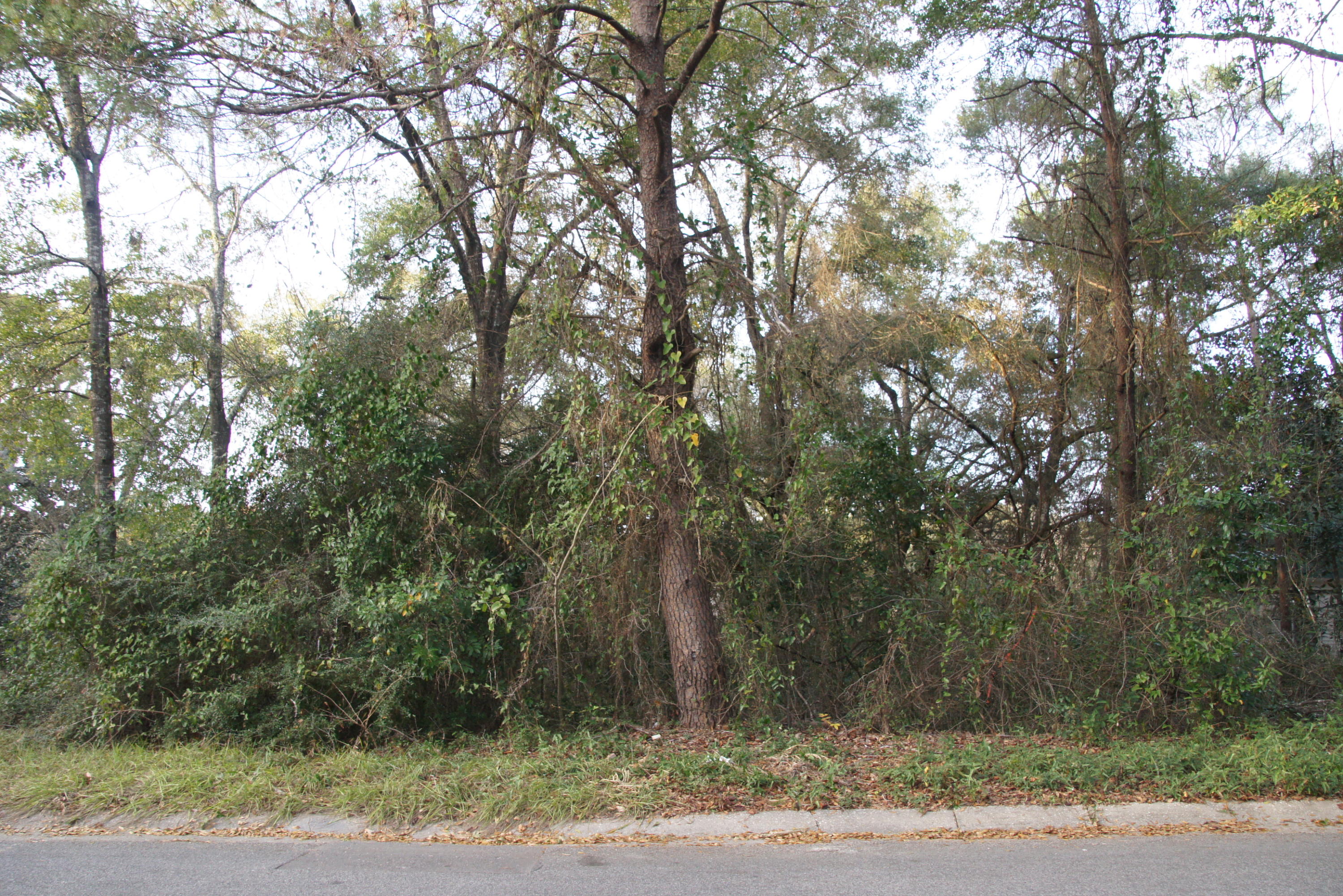 EDGEWATER VILLAGE - Land