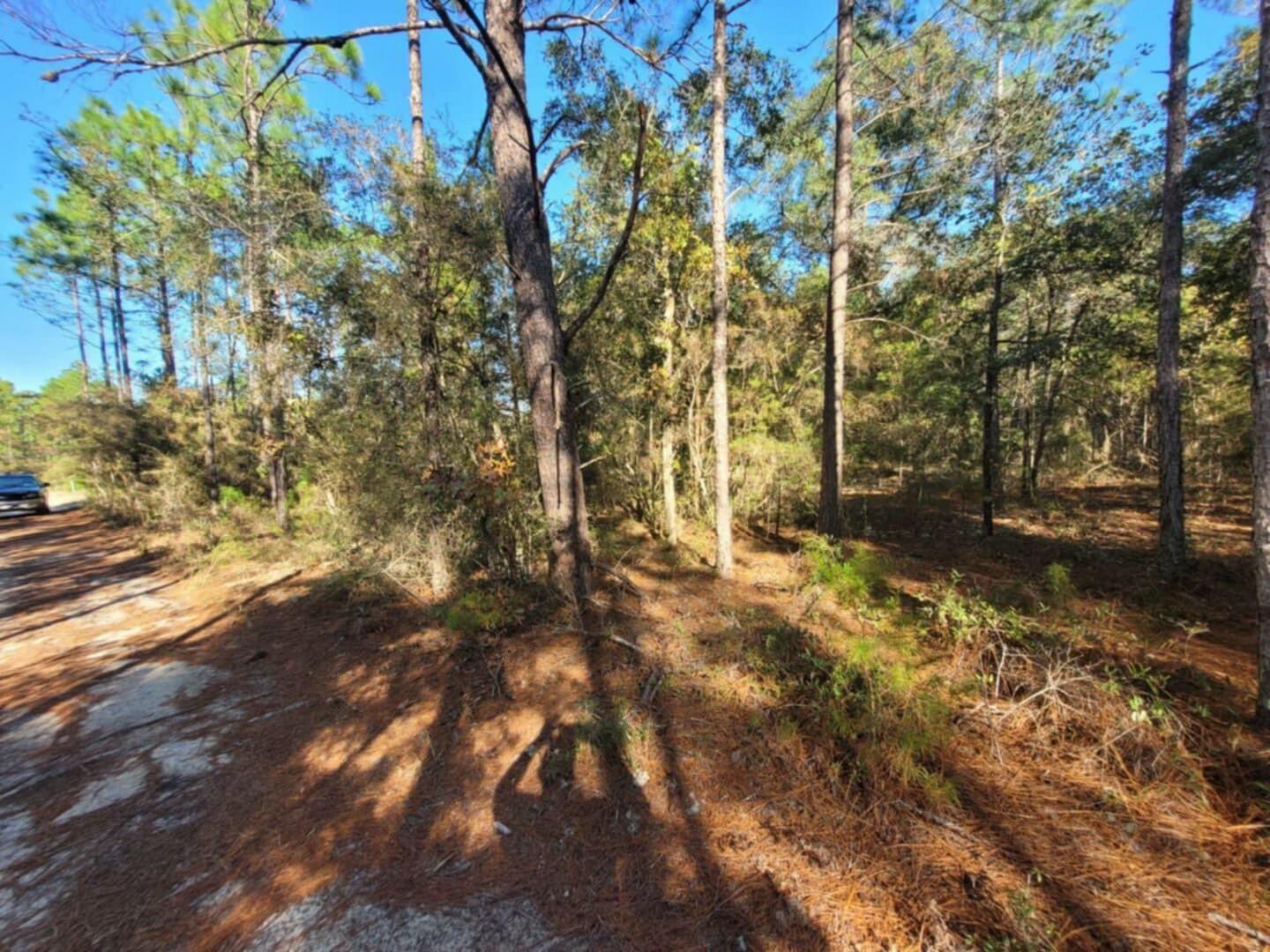 OAKWOOD HILLS UNIT II - Land