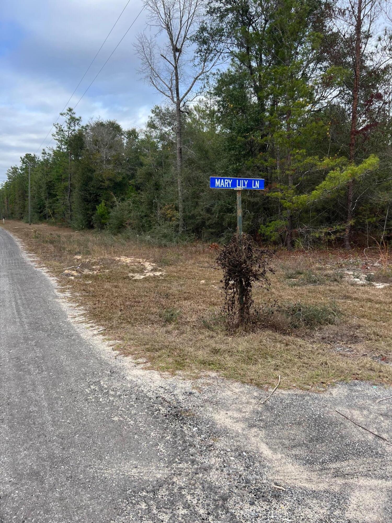 Great 1+/- acre parcel on county maintained road.  Property is nice and level and would be perfect for your custom home or manufactured home.  Frontage on Watson Rd and Mary Lily Lane.  CHELCO power available at the road.  Septic and Well would be required.