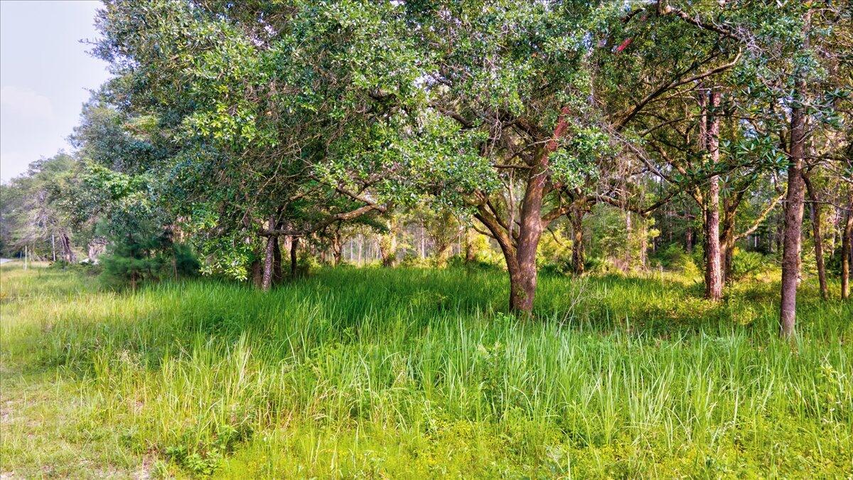 BAYOU BEND - Land