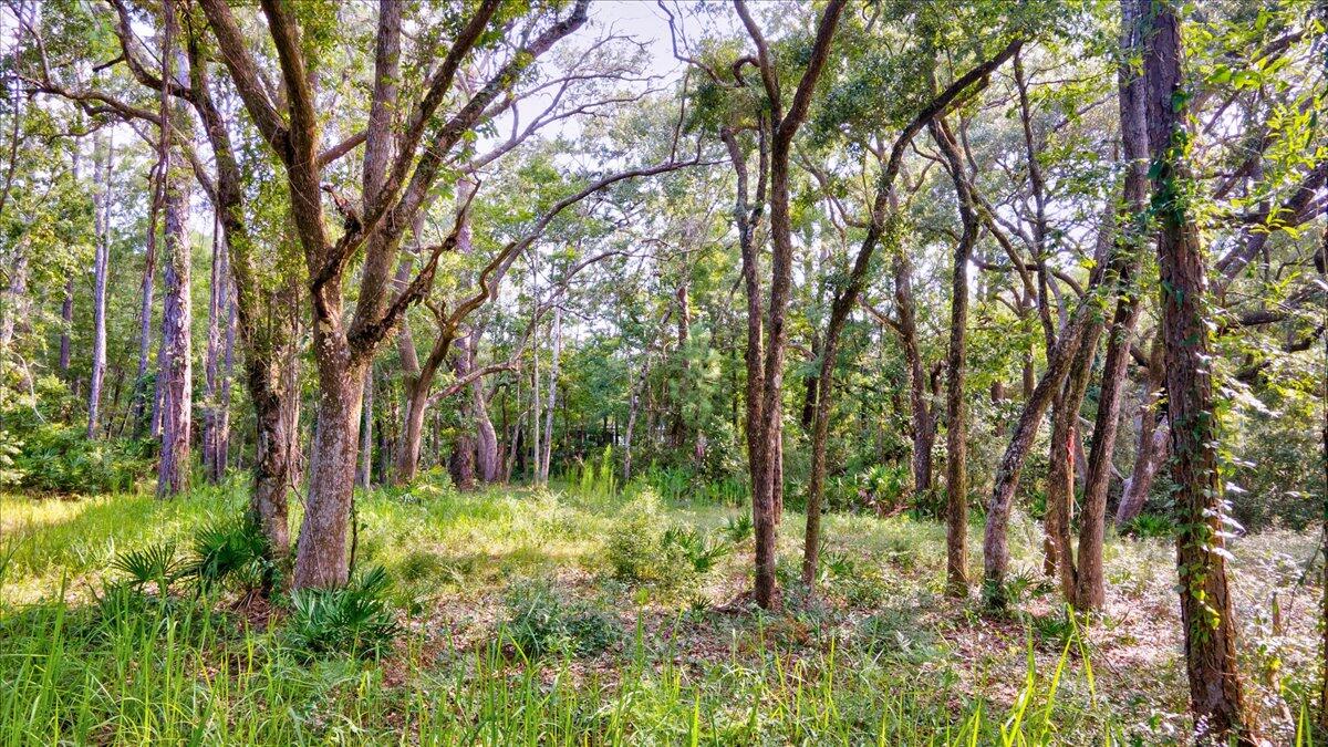 BAYOU BEND - Land