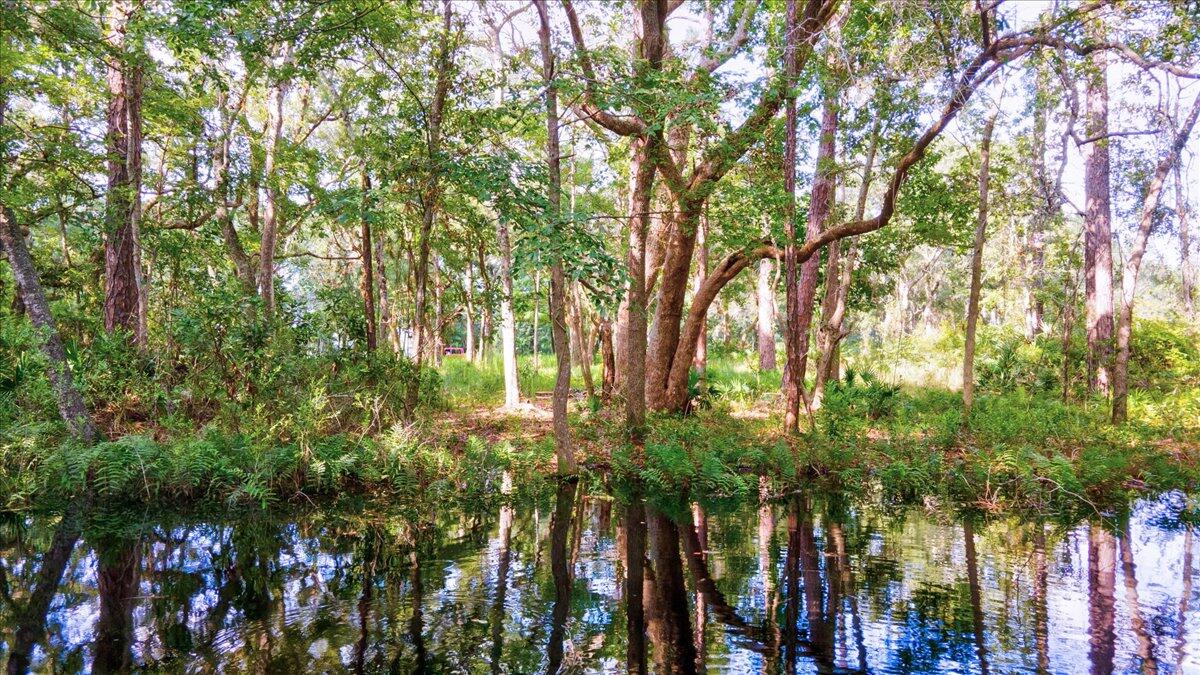 BAYOU BEND - Land