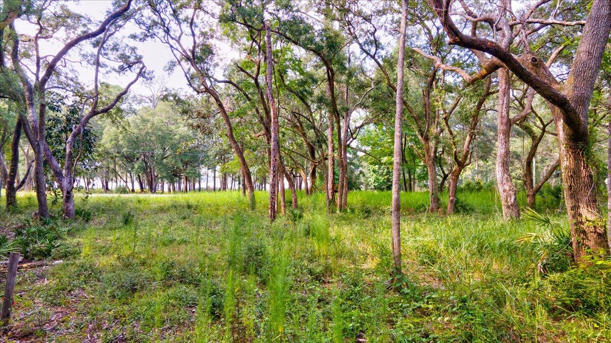 BAYOU BEND - Land