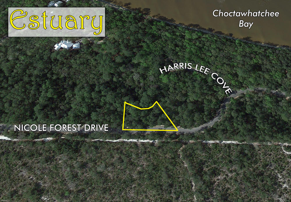 Exciting opportunity to enjoy the peace and tranquility of the private enclave of South Walton County known as the Estuary. The community's modest footprint surrounded by state forest offers only a few fortunate owners and guests an irreplaceable habitat, centralized to enjoy all the desired conveniences around the area, including 30A, yet private enough to feel as though you are remote in a scenic retreat. The seller has already accomplished many value-added tasks required before building, including a property survey, a tree conservation plan already approved by the owners' association and conceptual house plans. Also, water and sewer tap fees have been prepaid, all totaling well over $9,000.00. Please inquire for further details.